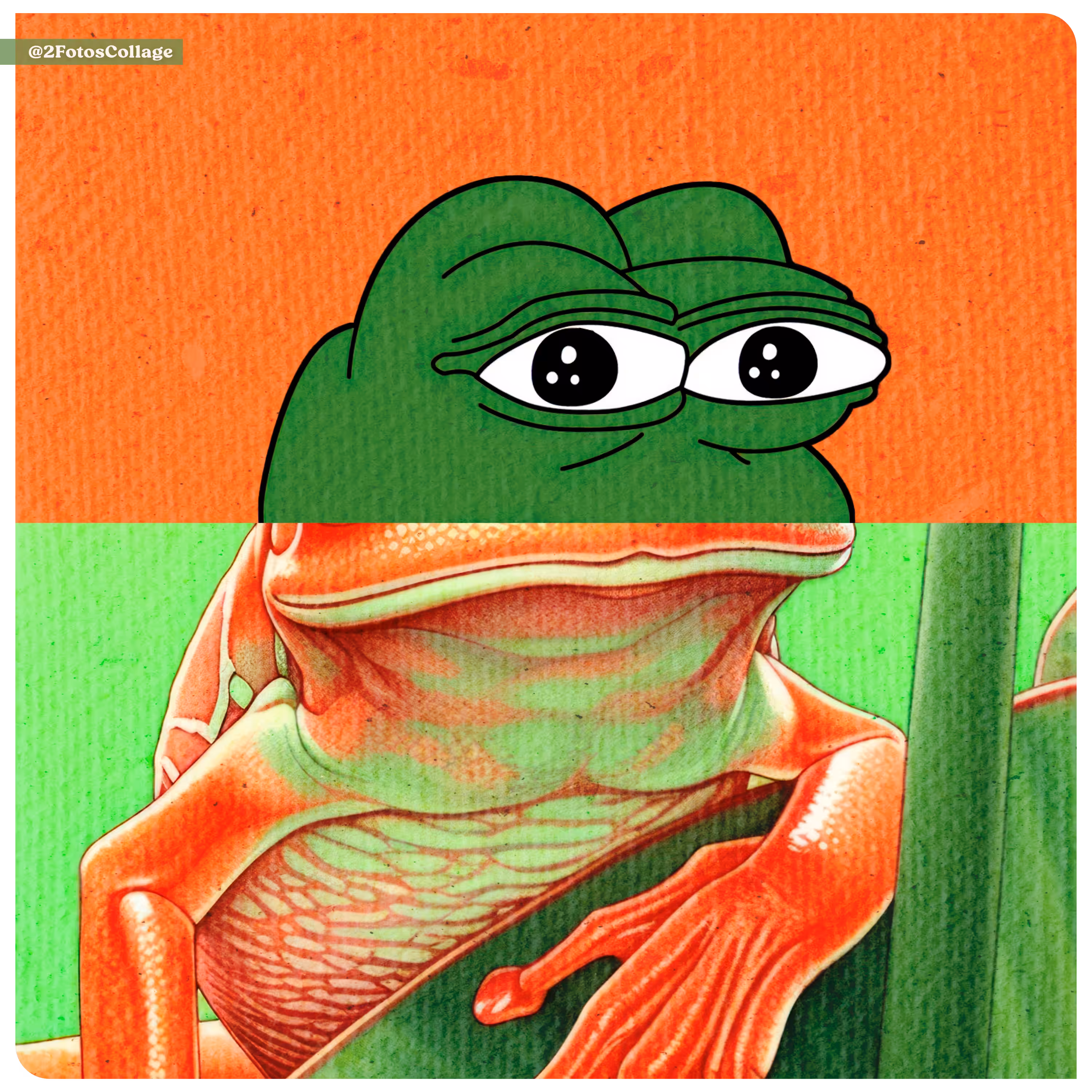 2FotosCollage Calls