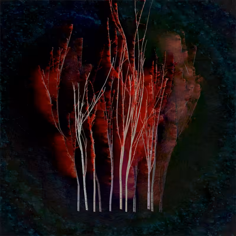 Grove #13
