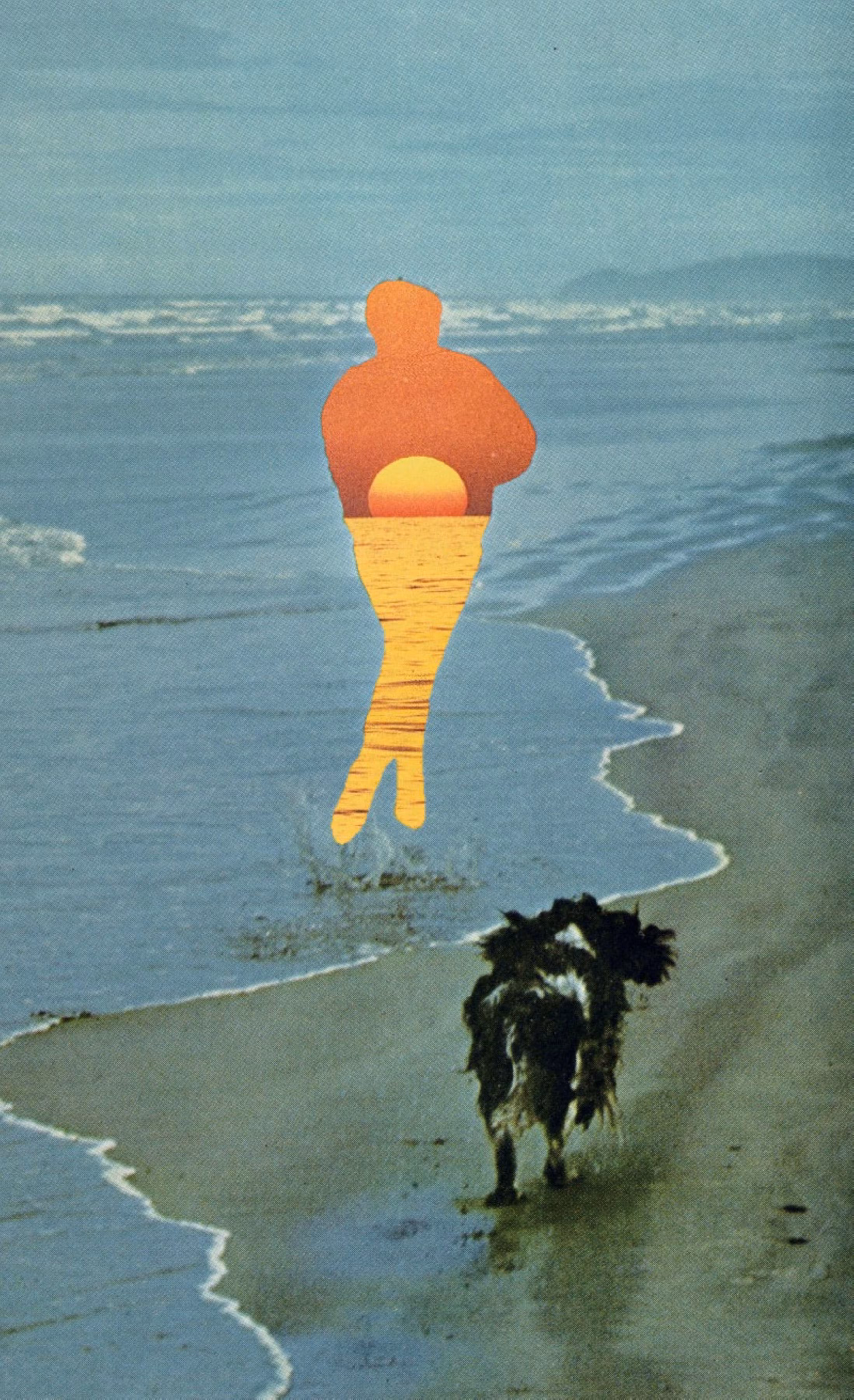 Chase it Down