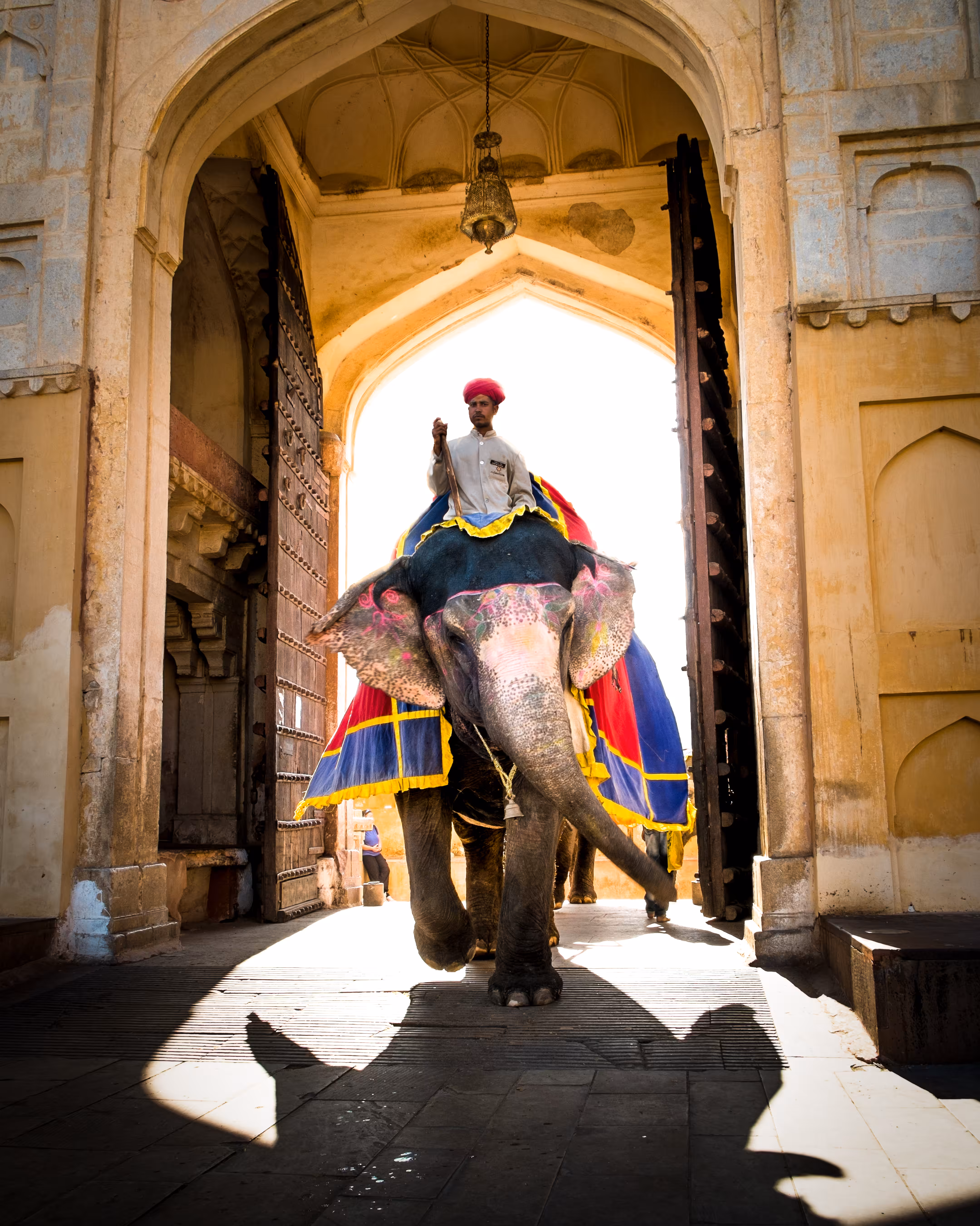 Elephant Ride #11/15