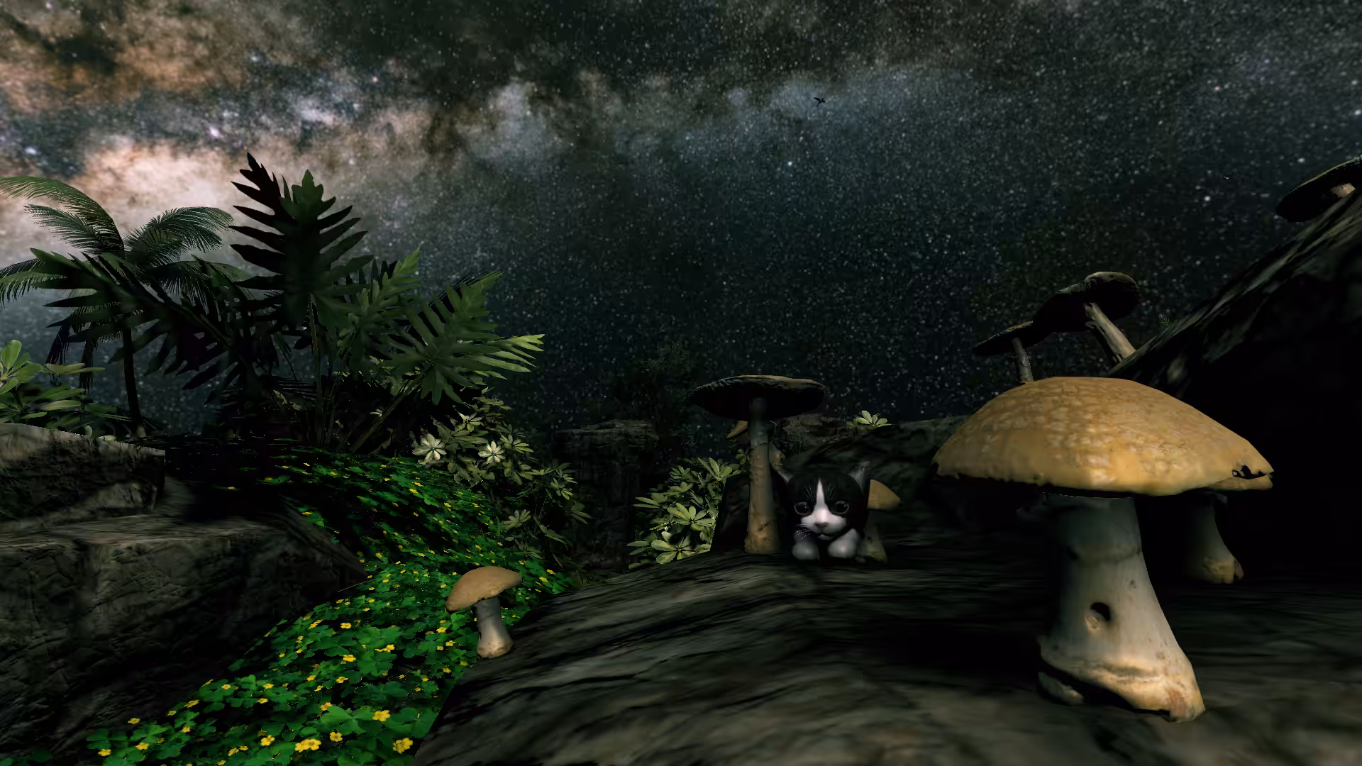 Cat Amongst The Mushroom