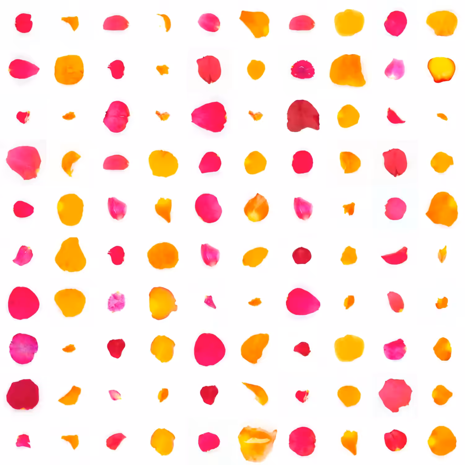 Infinite Petals 10x10#1375