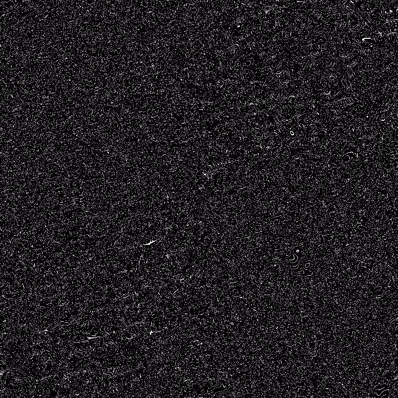 Plasmas #40