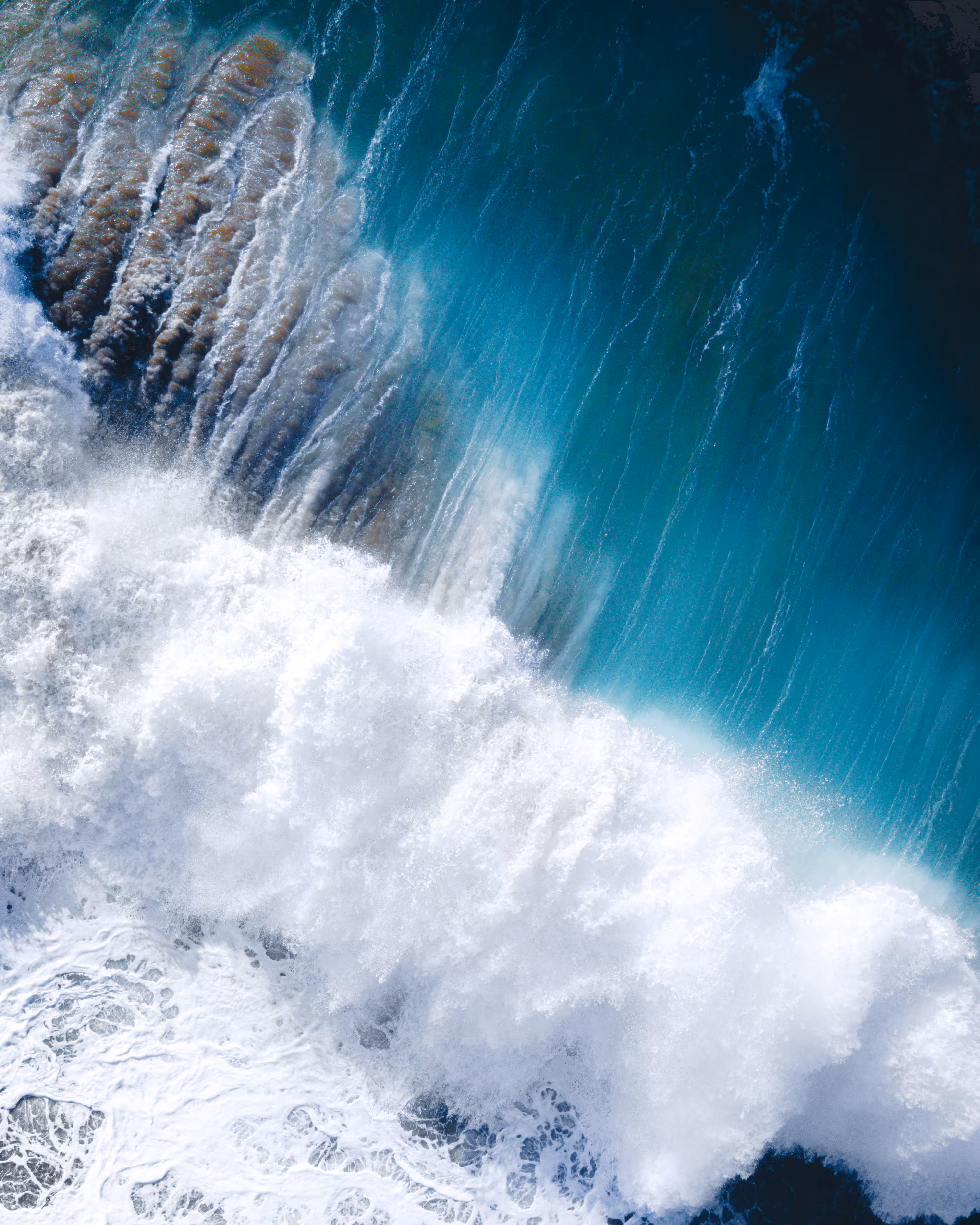 Ocean Raw #18