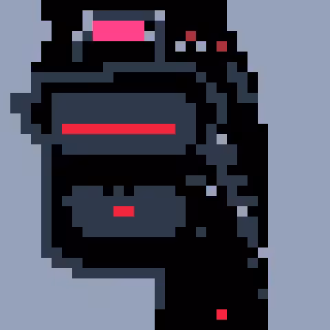 Cryptopirate 26