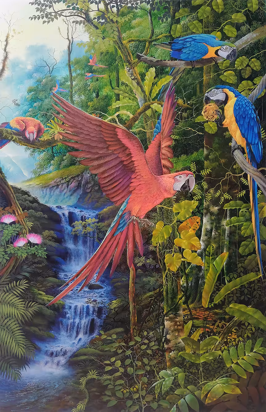 LOS GUACAMAYOS