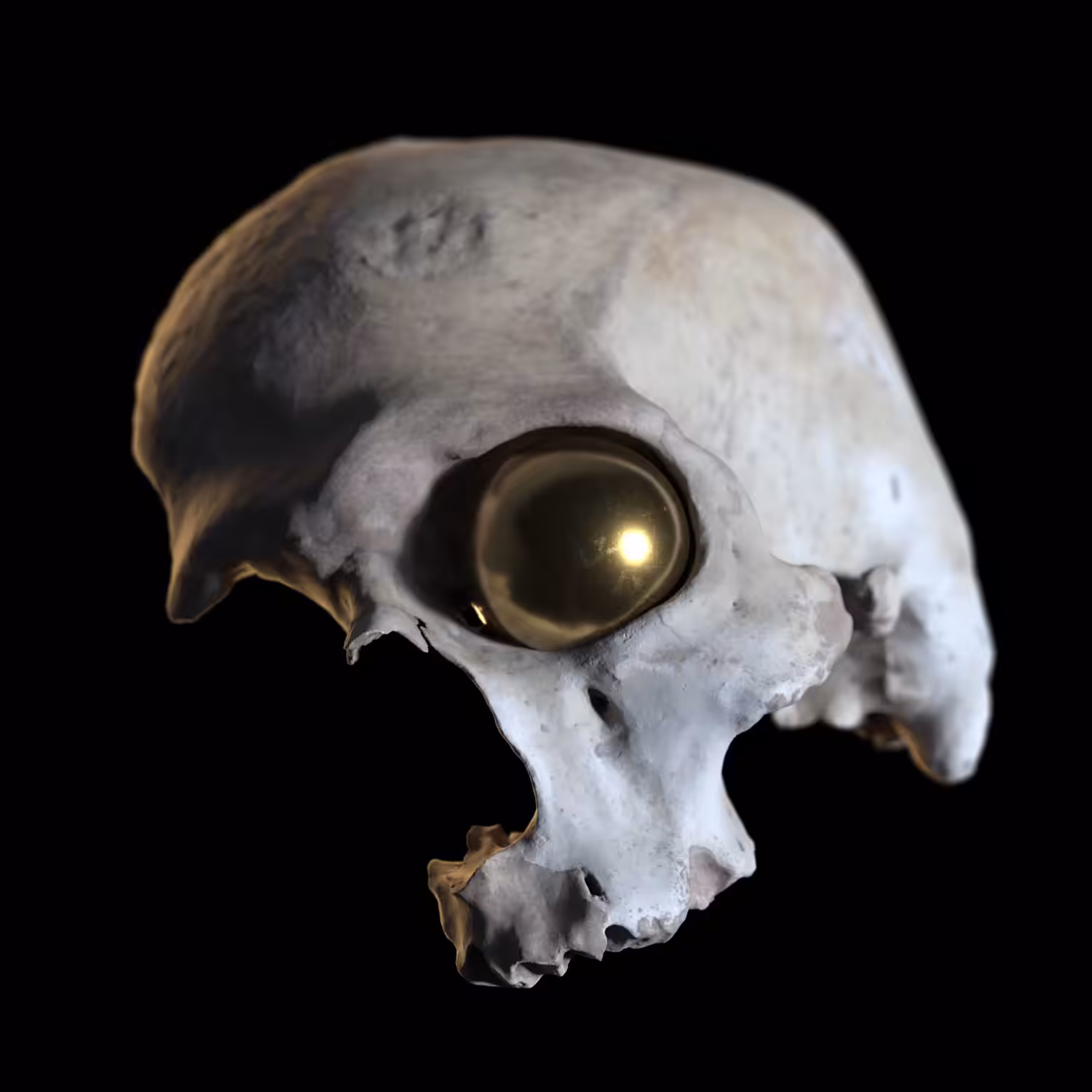 SKULL : Golden Orb