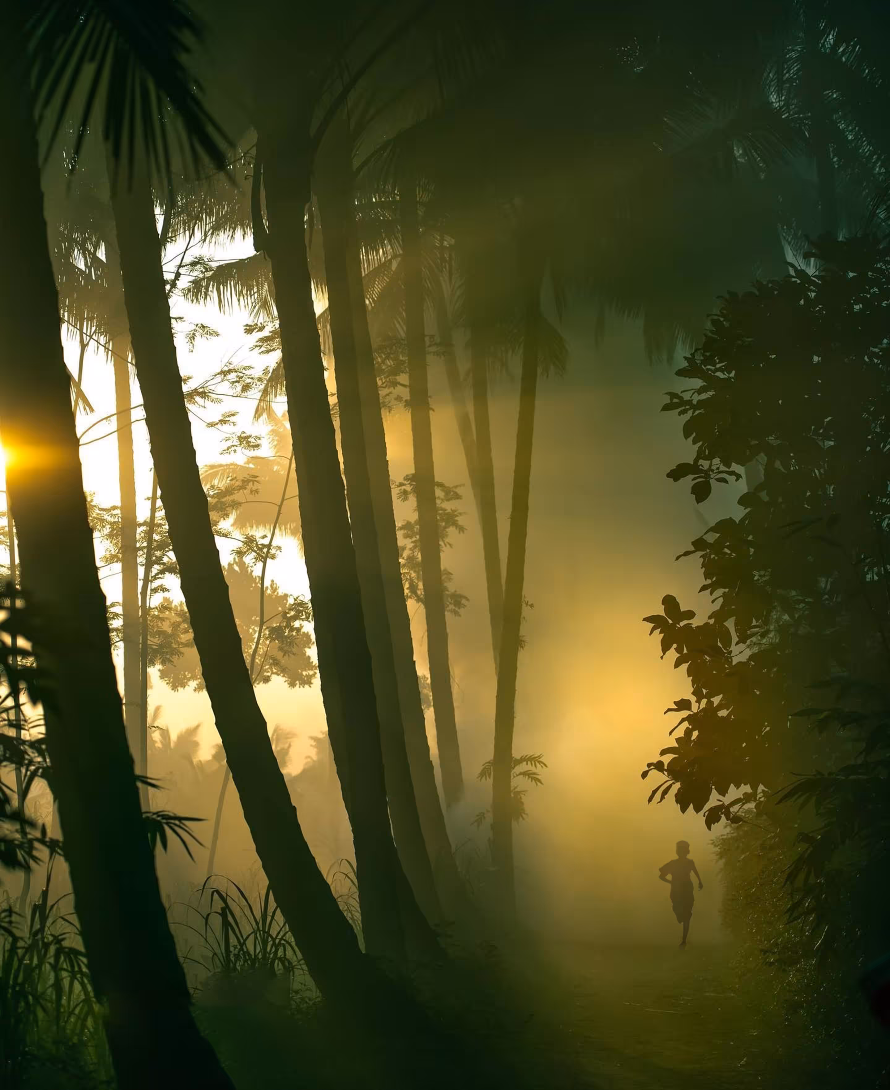 Dawn's Run