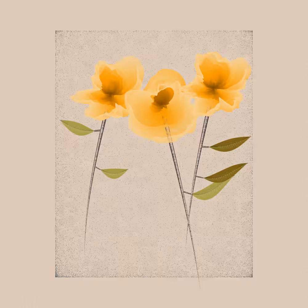 Magnolia #58