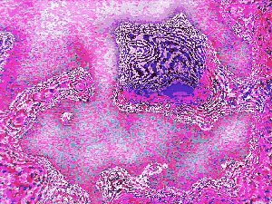 Mycelial Wetware
