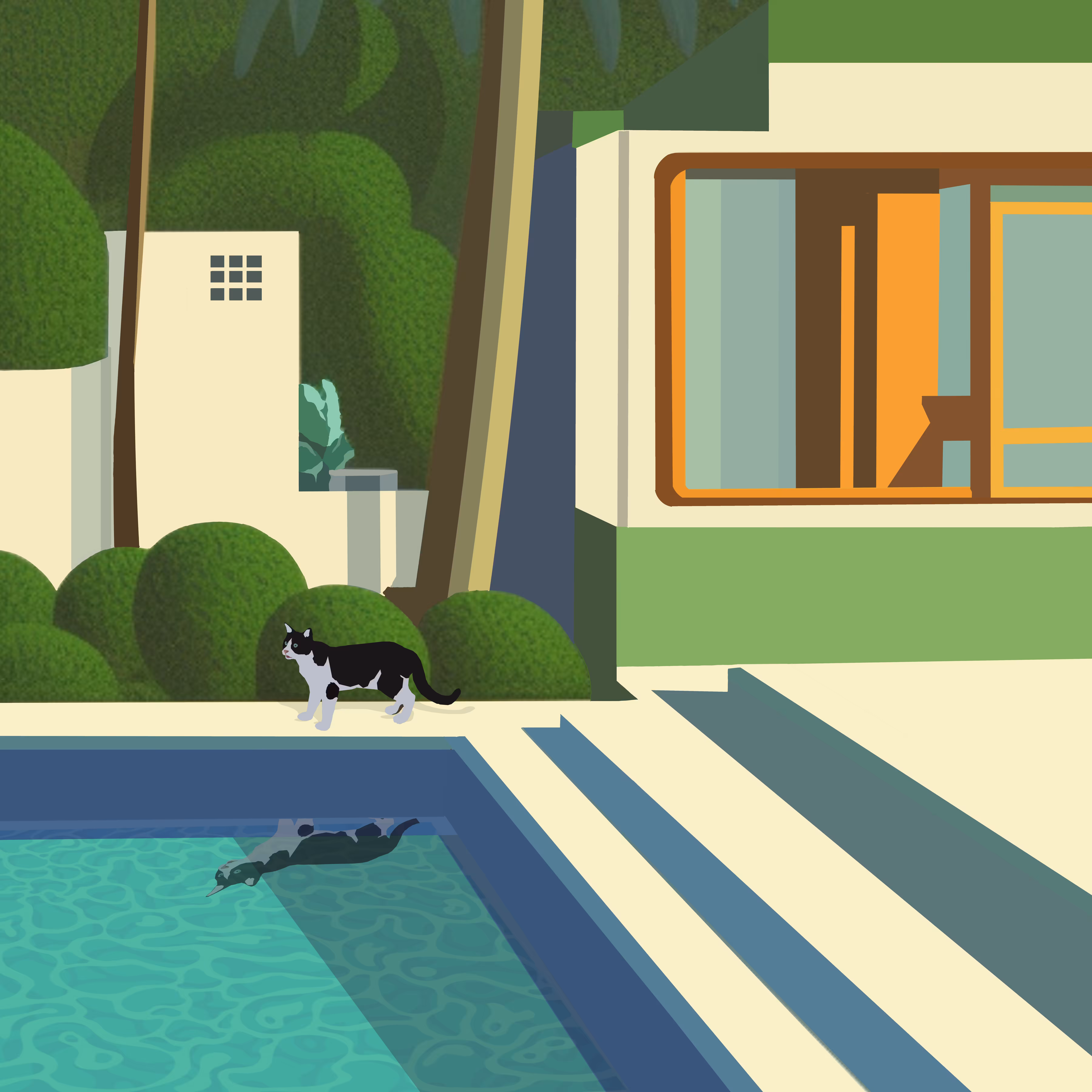 "Poolside Purrfection"