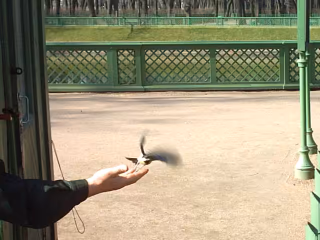 Off You Go