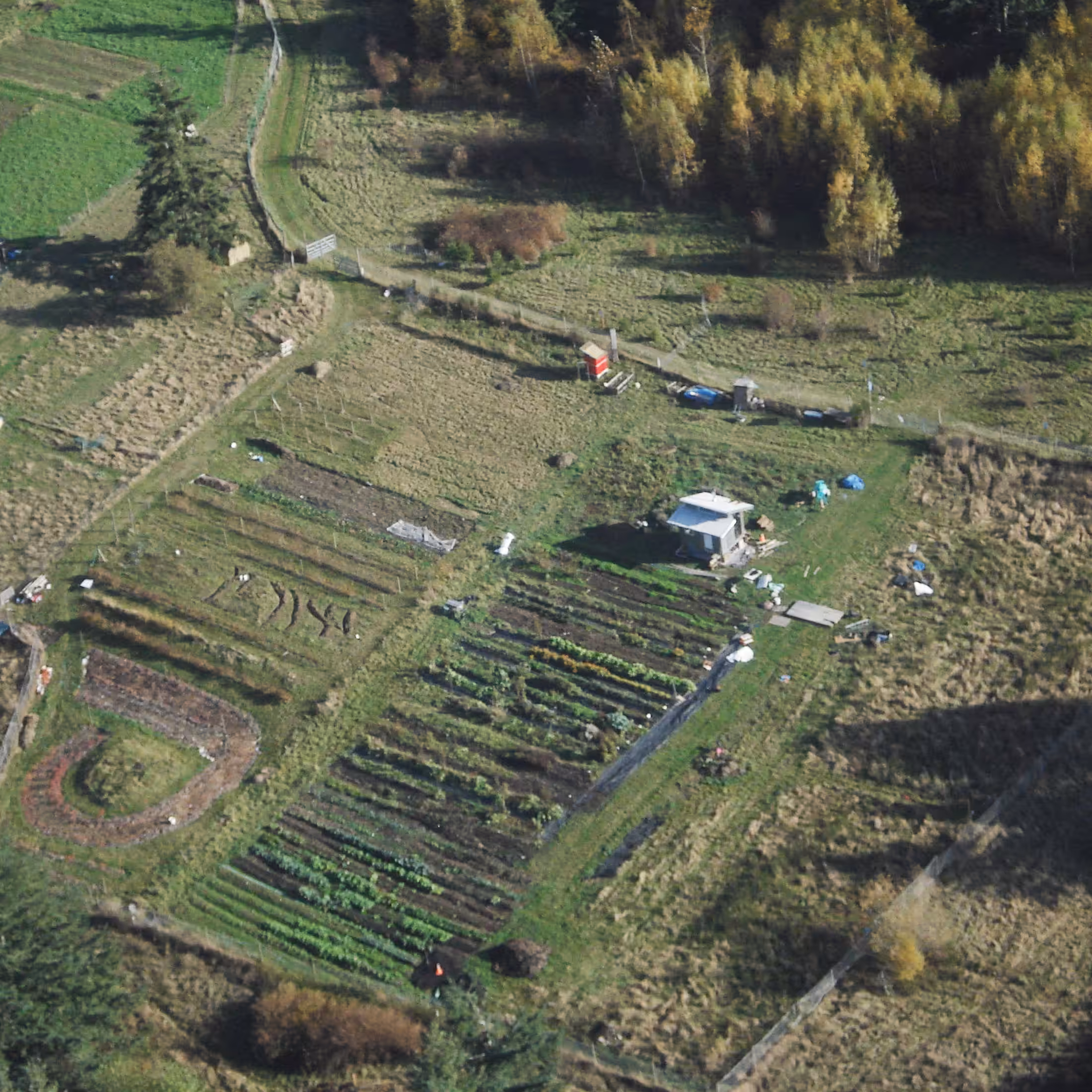 Sister Sage Herb Farm