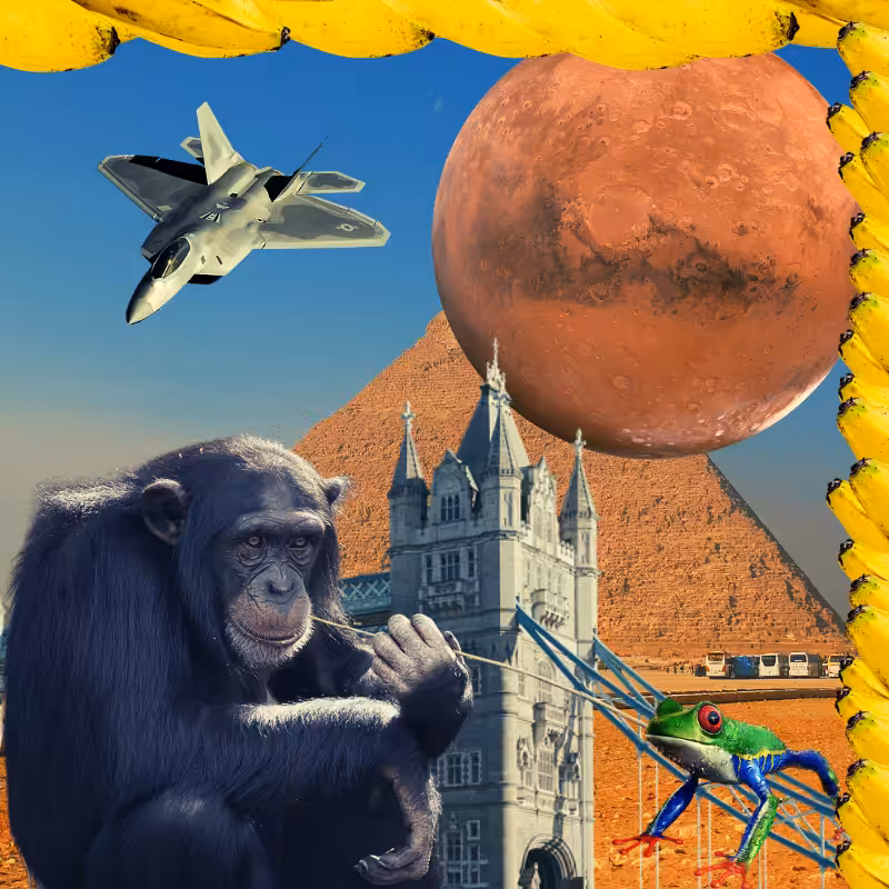 Banana & Pepe on mysterious trips #22