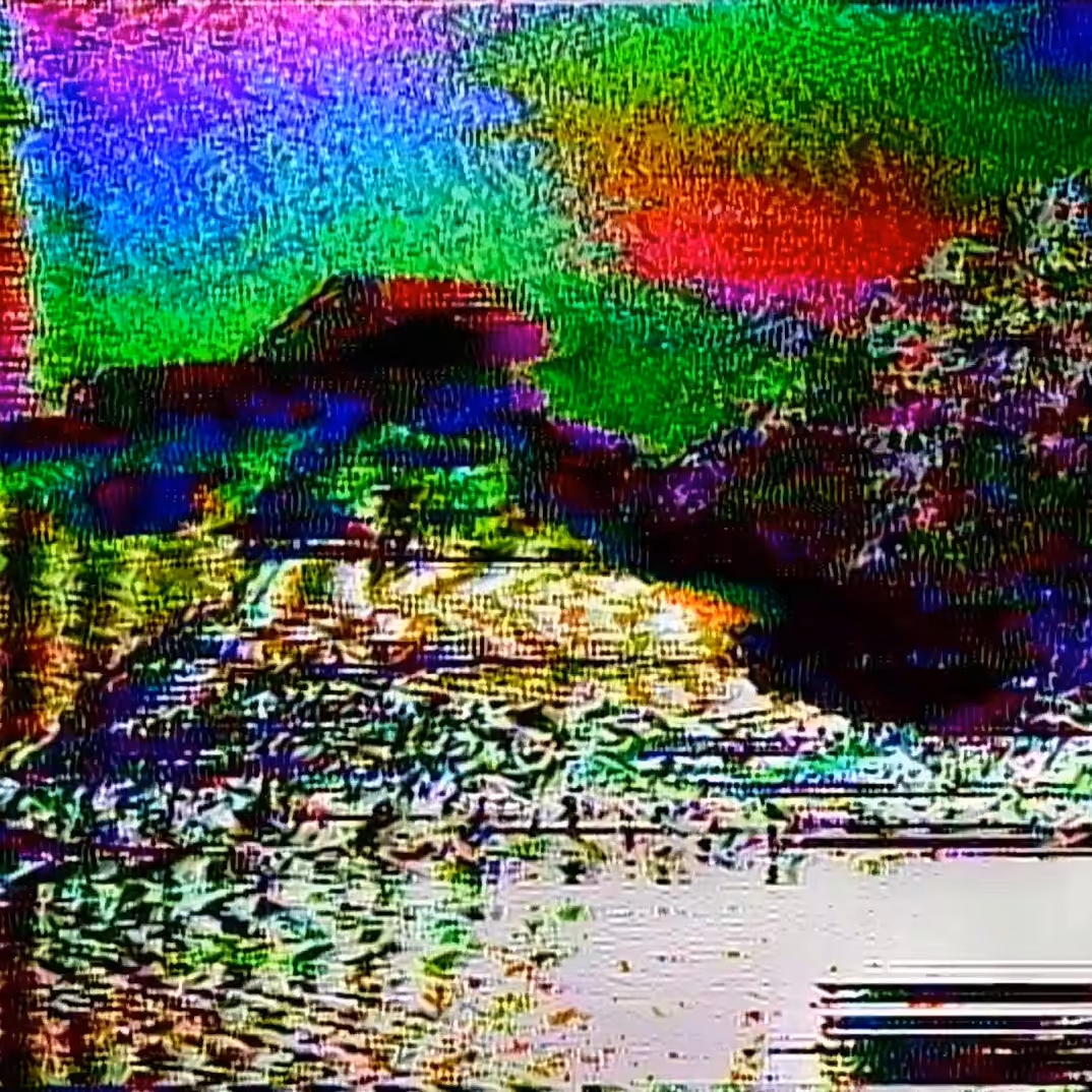 vhs dream 0223