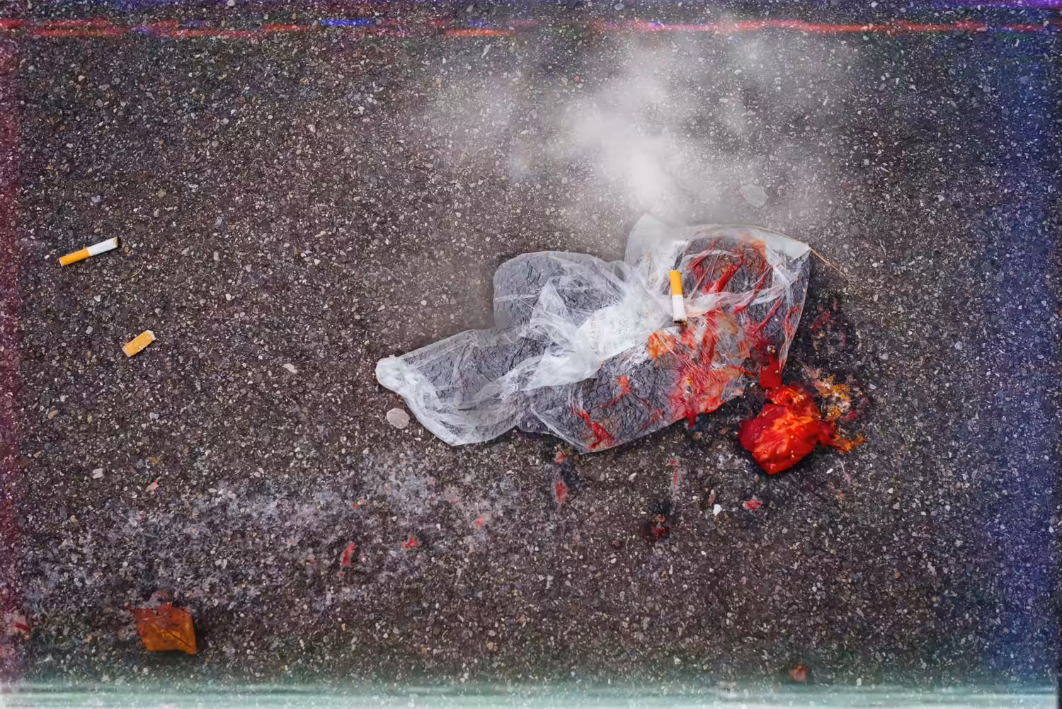 Plastic Bag, Tomatoes & Cigarette Butts