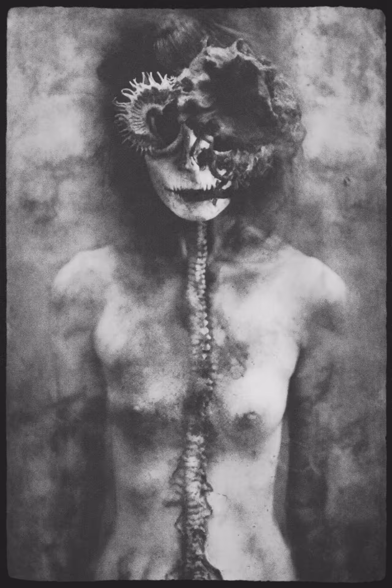 Scary 14