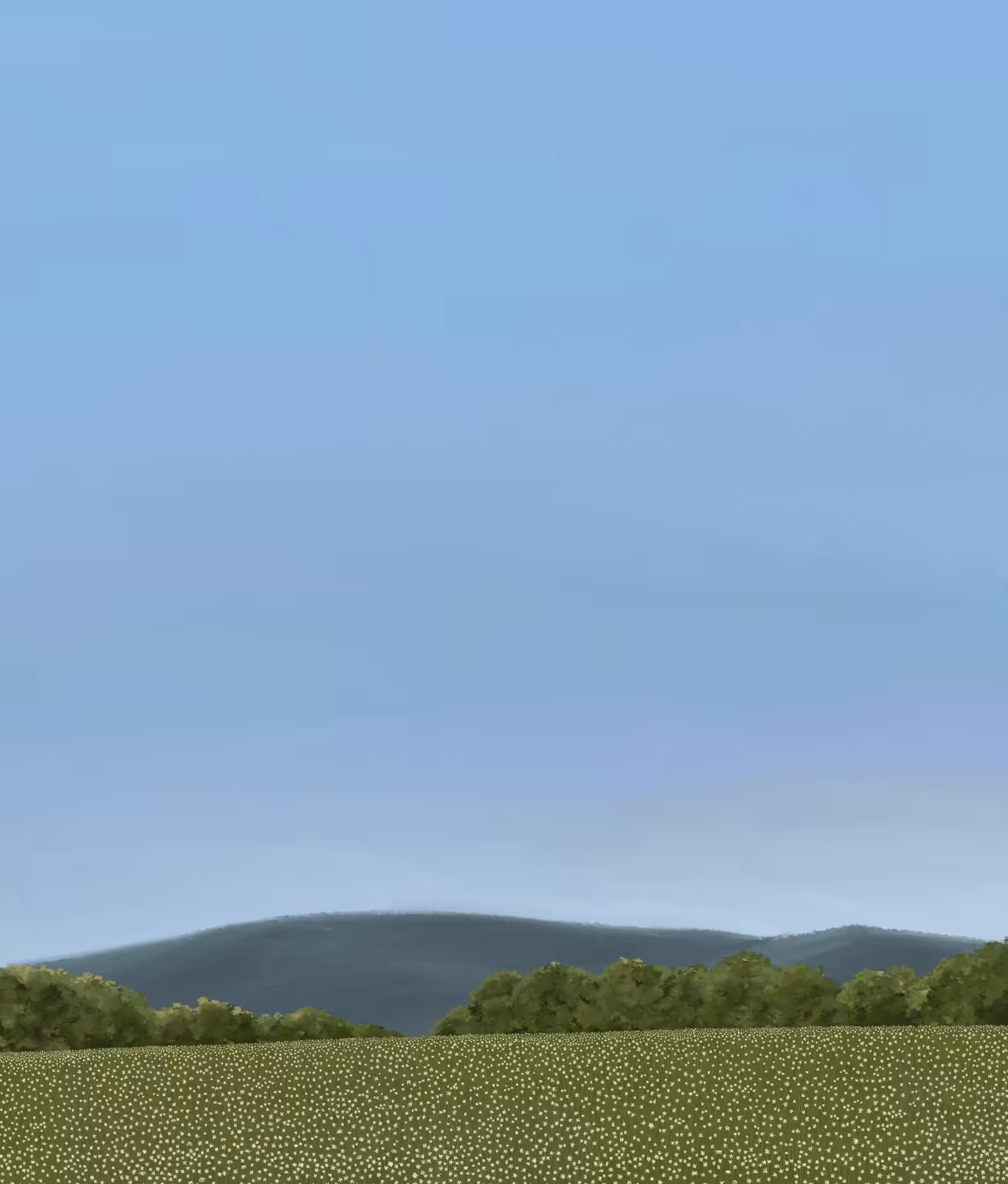 peaceful land
