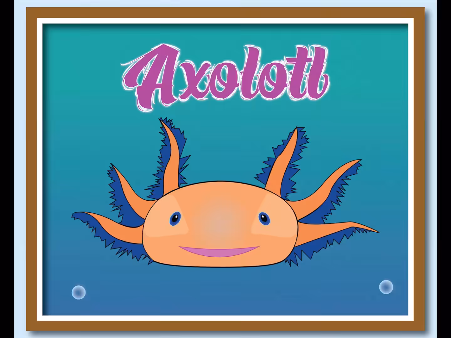 Axolotl