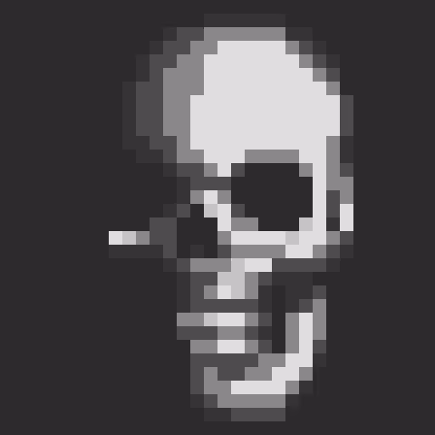 Skull01 | Human
