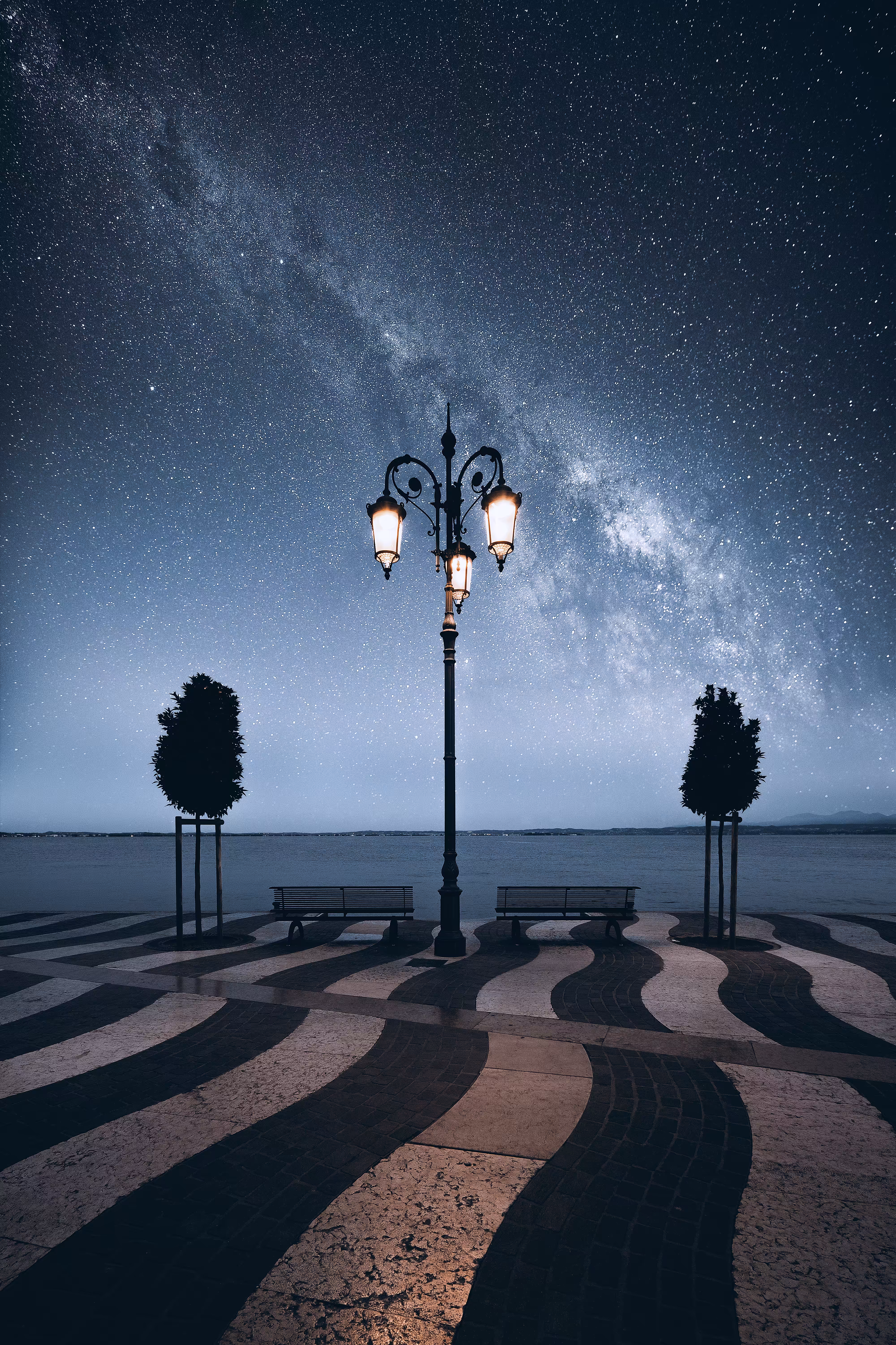 With the Stars 