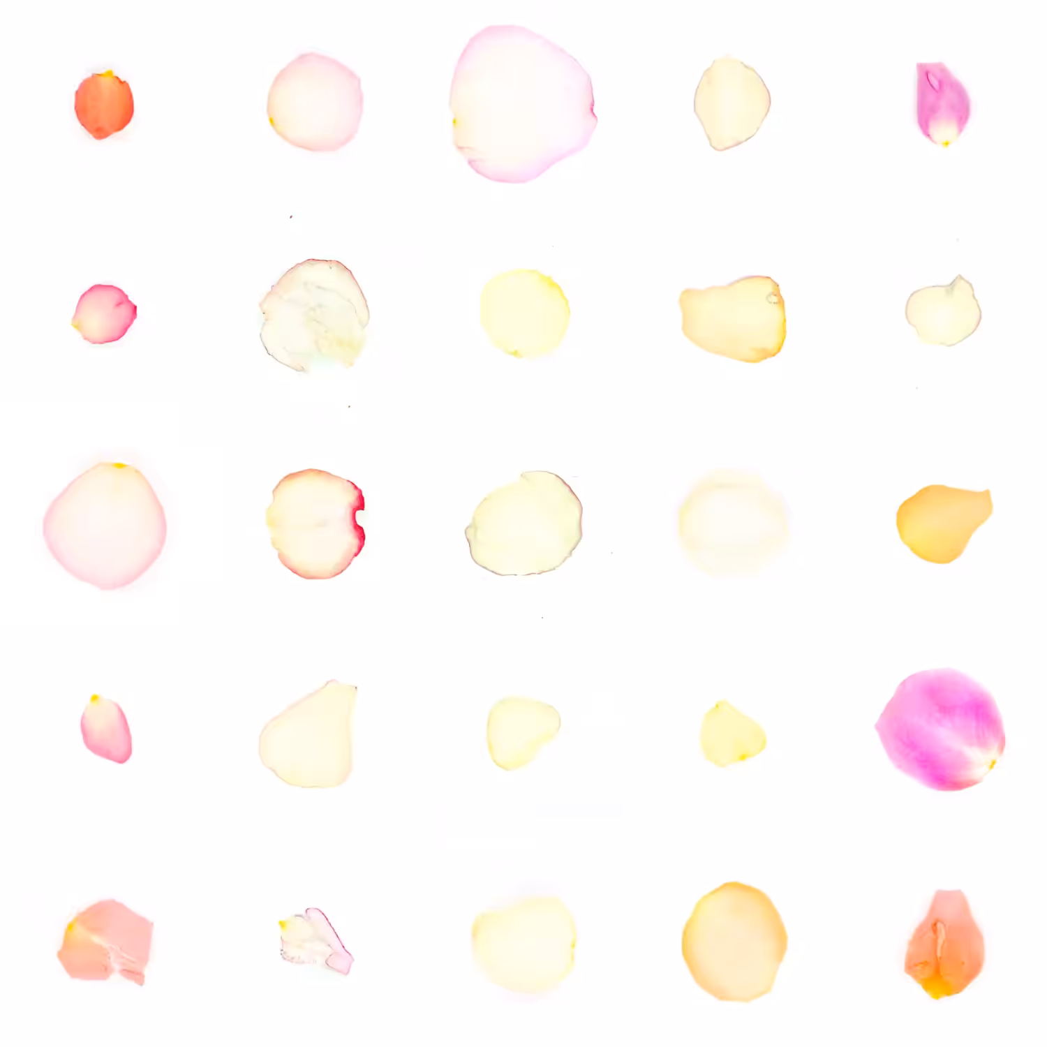 Infinite Petals 5x5#20793