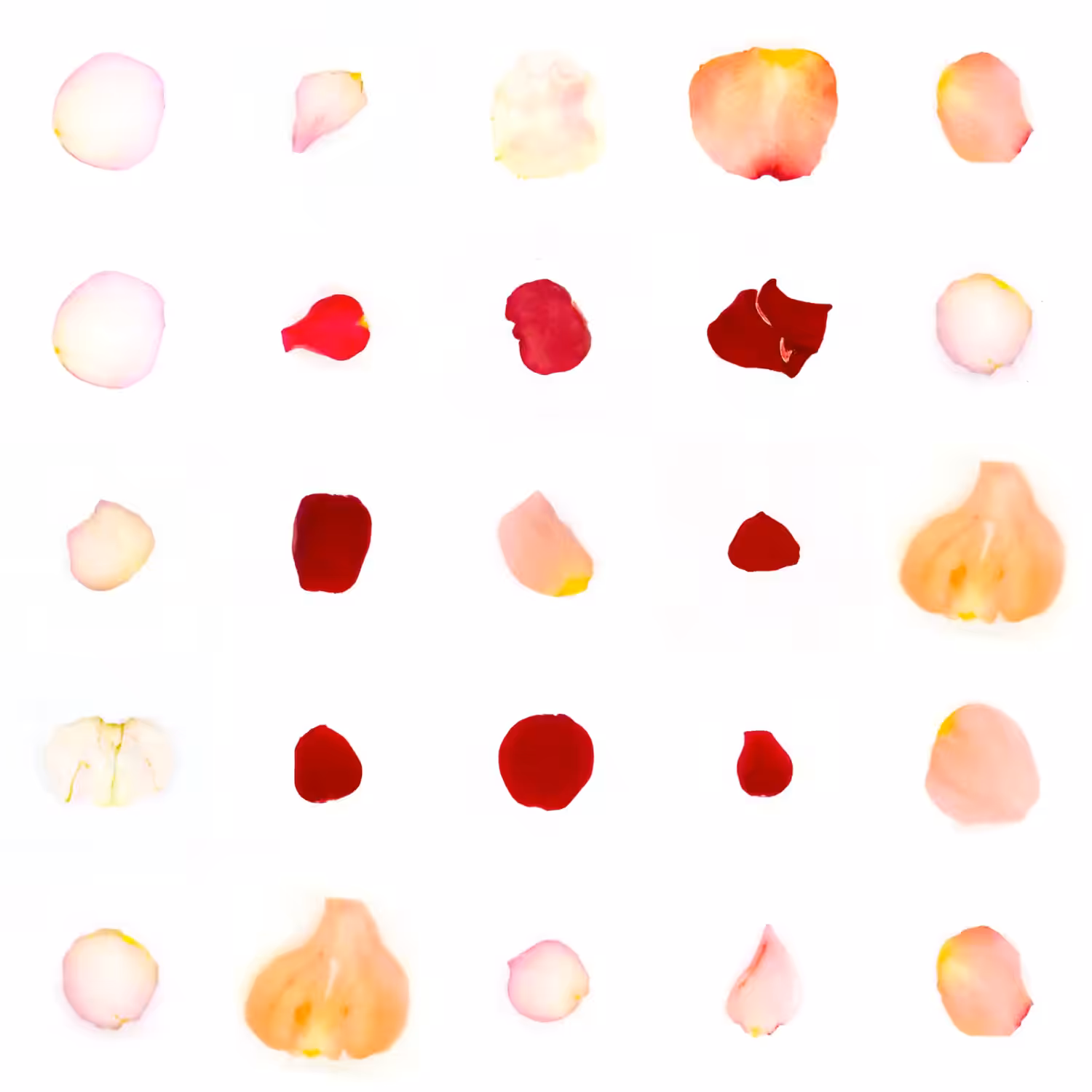 Infinite Petals 5x5#1817