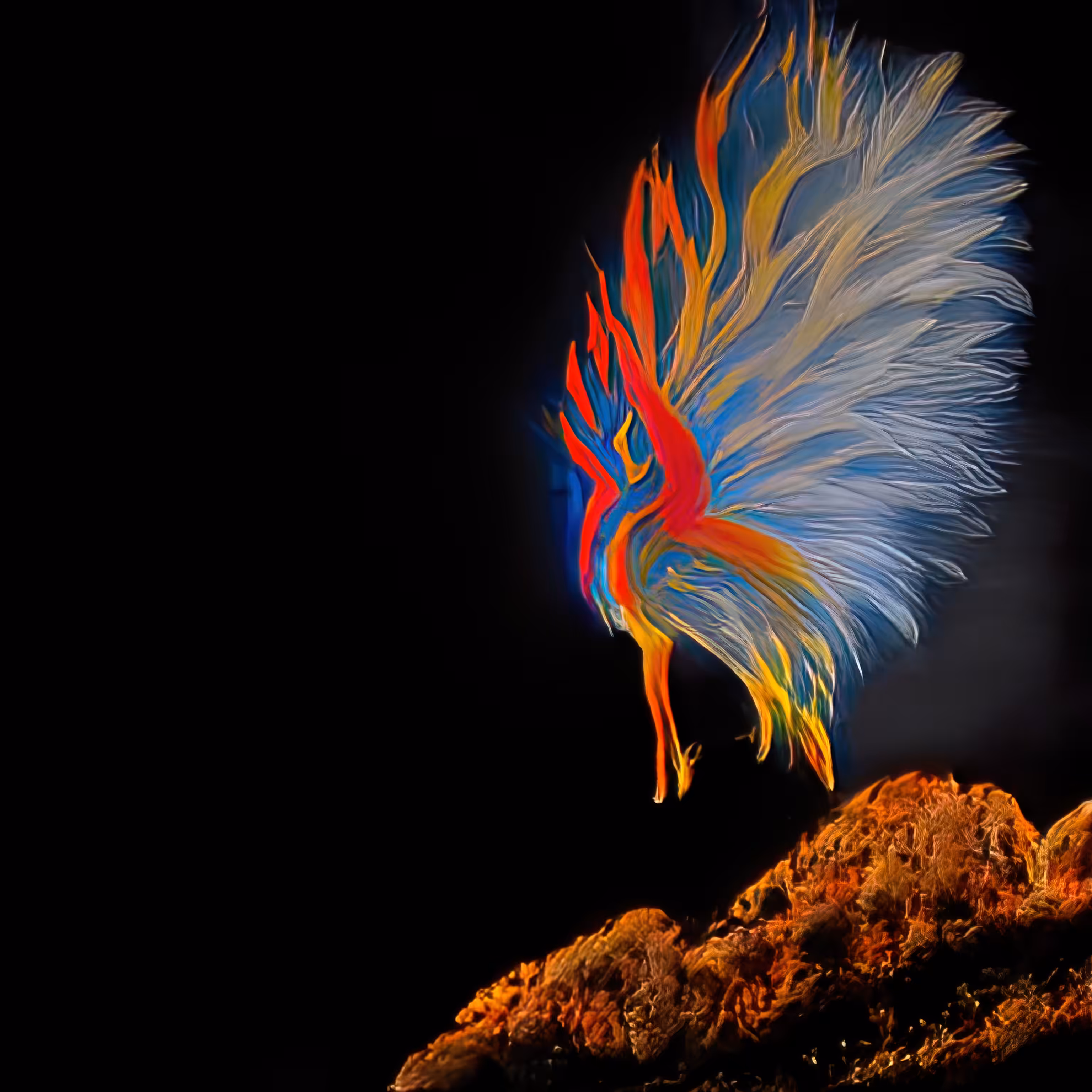 Phoenix 4