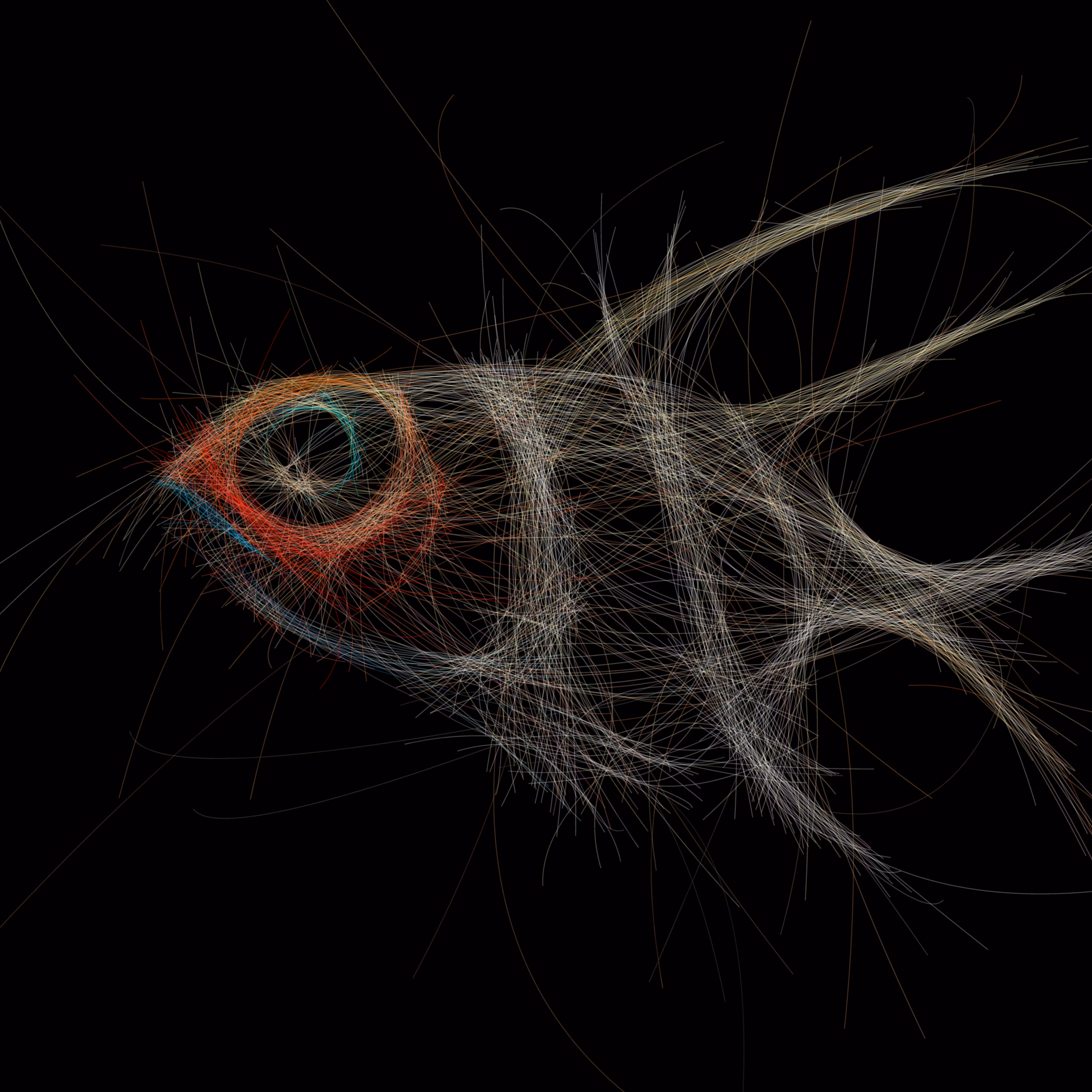 Underwater 246