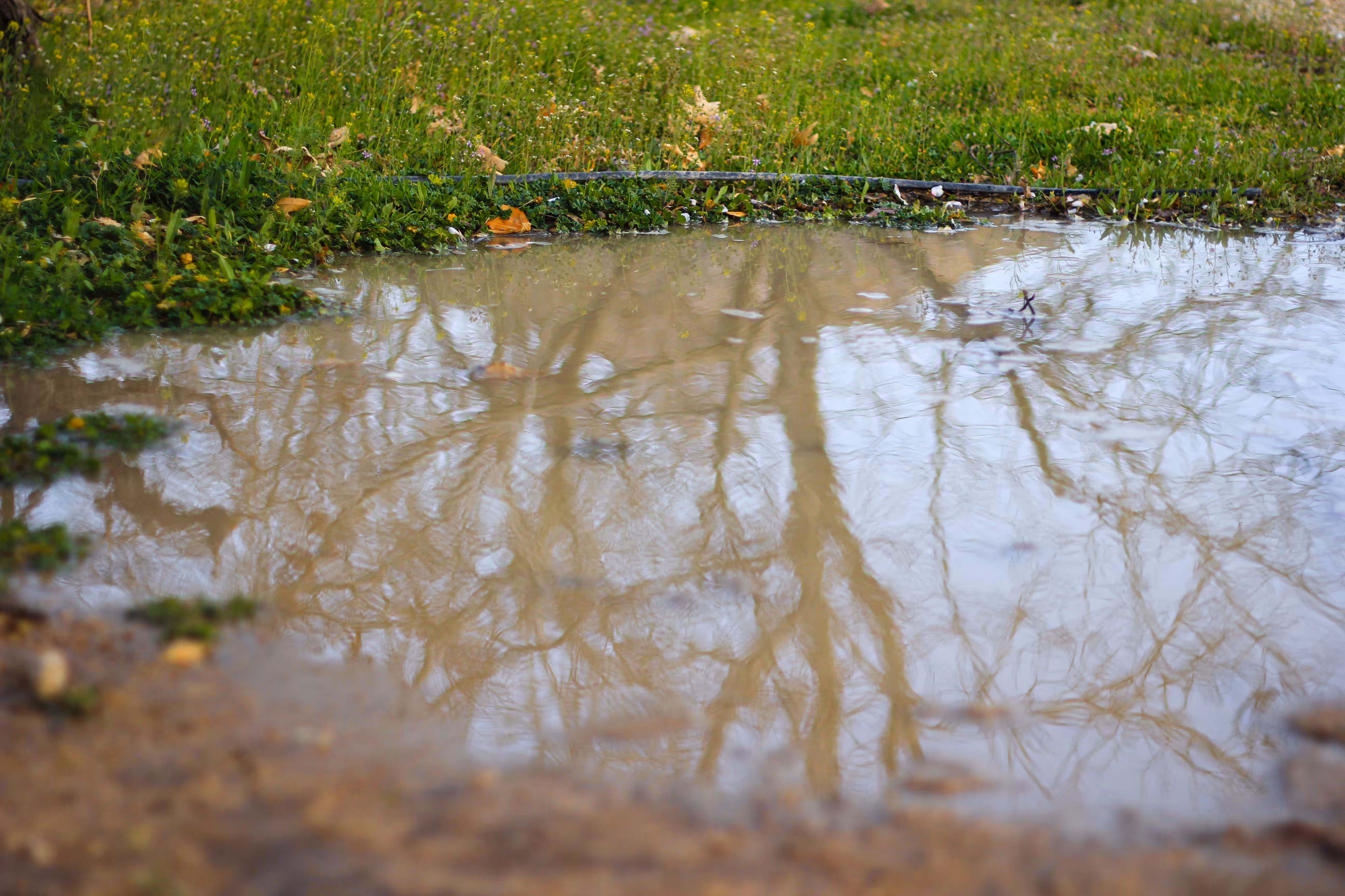 A Mirror the Ground Made