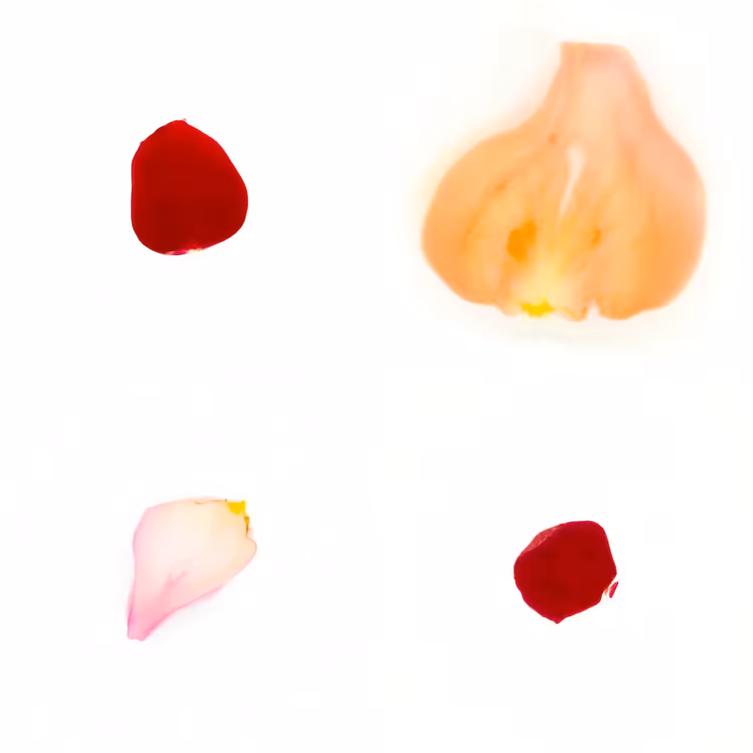 Infinite Petals 2x2#20014