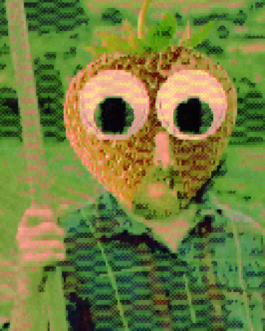 Big Strawberry farmers only