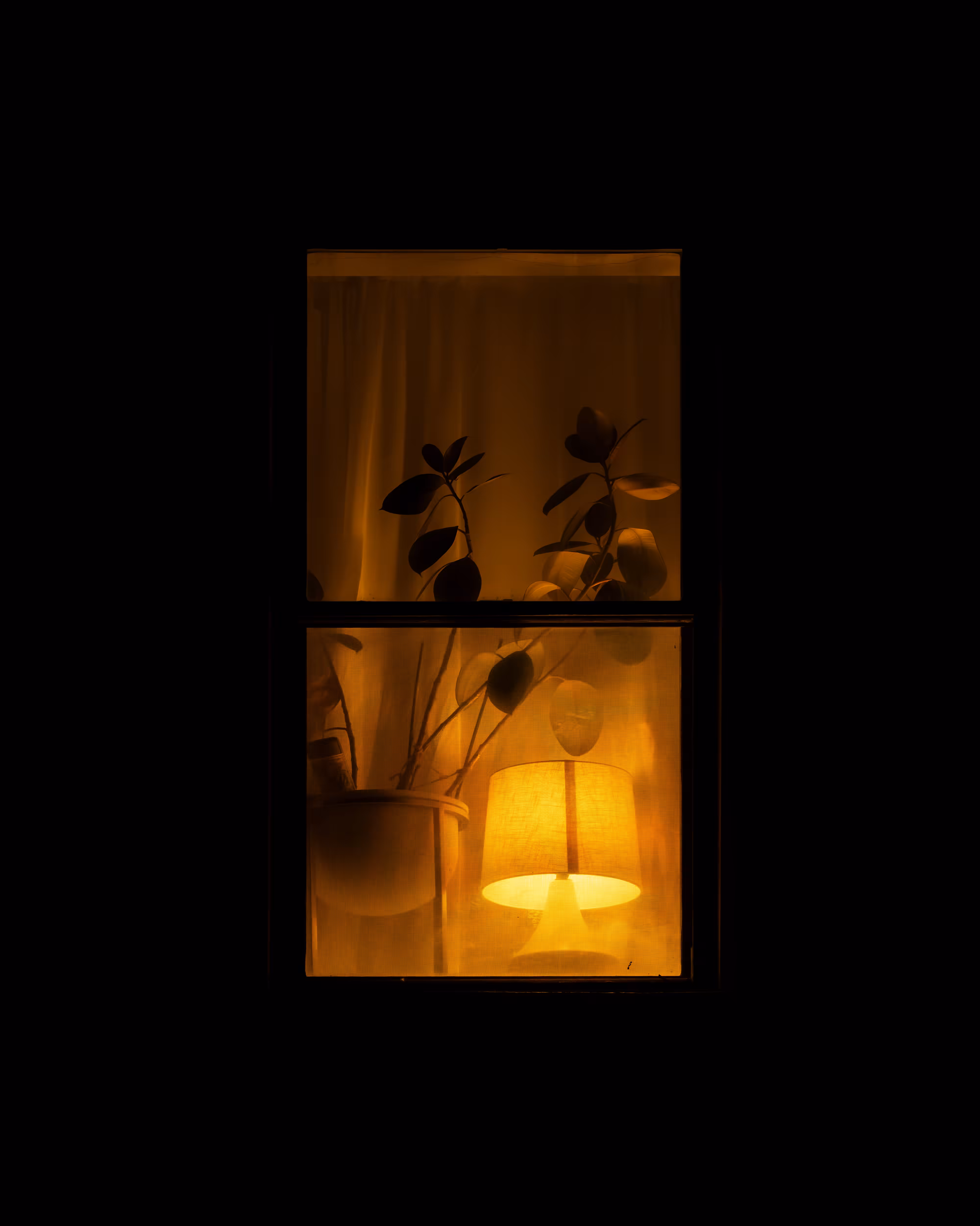 WINDOW 184