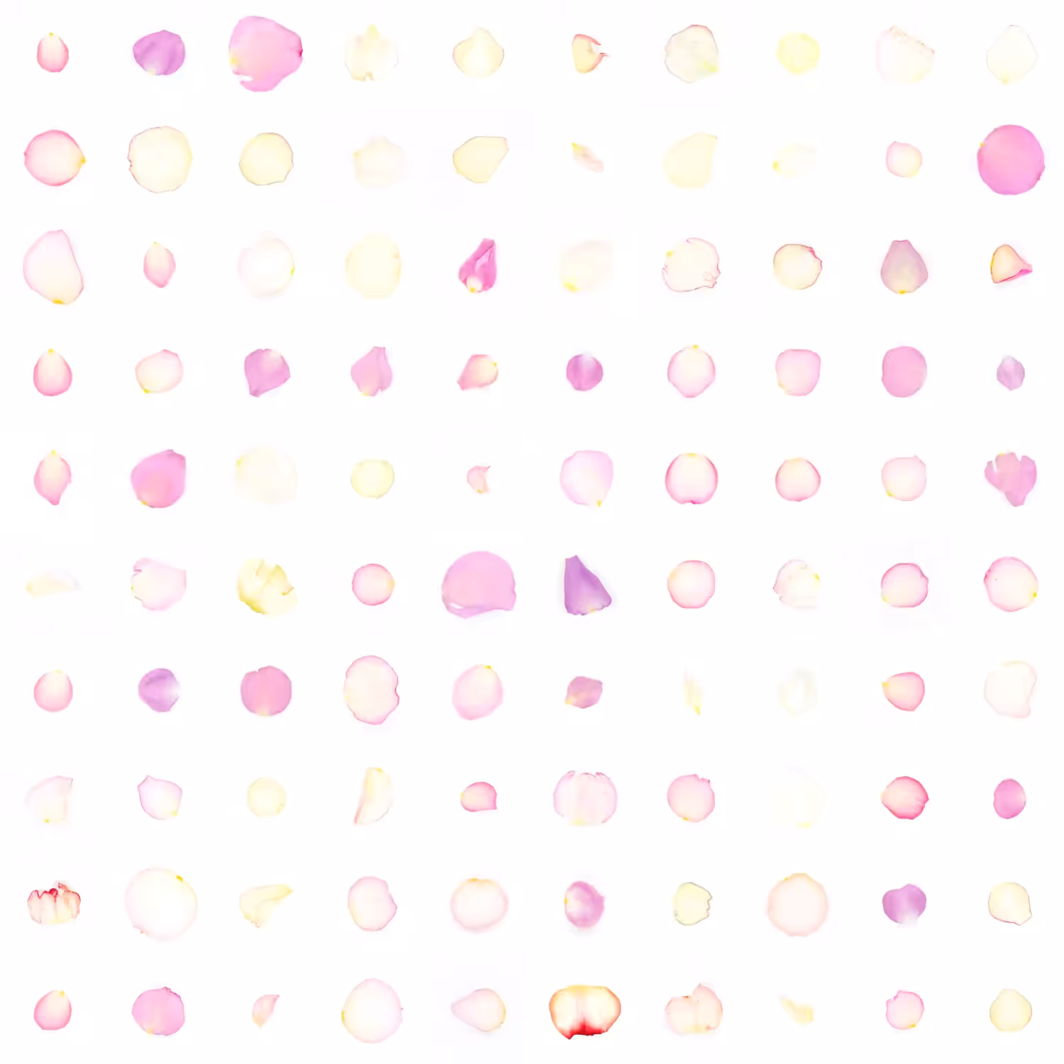 Infinite Petals 10x10#10136