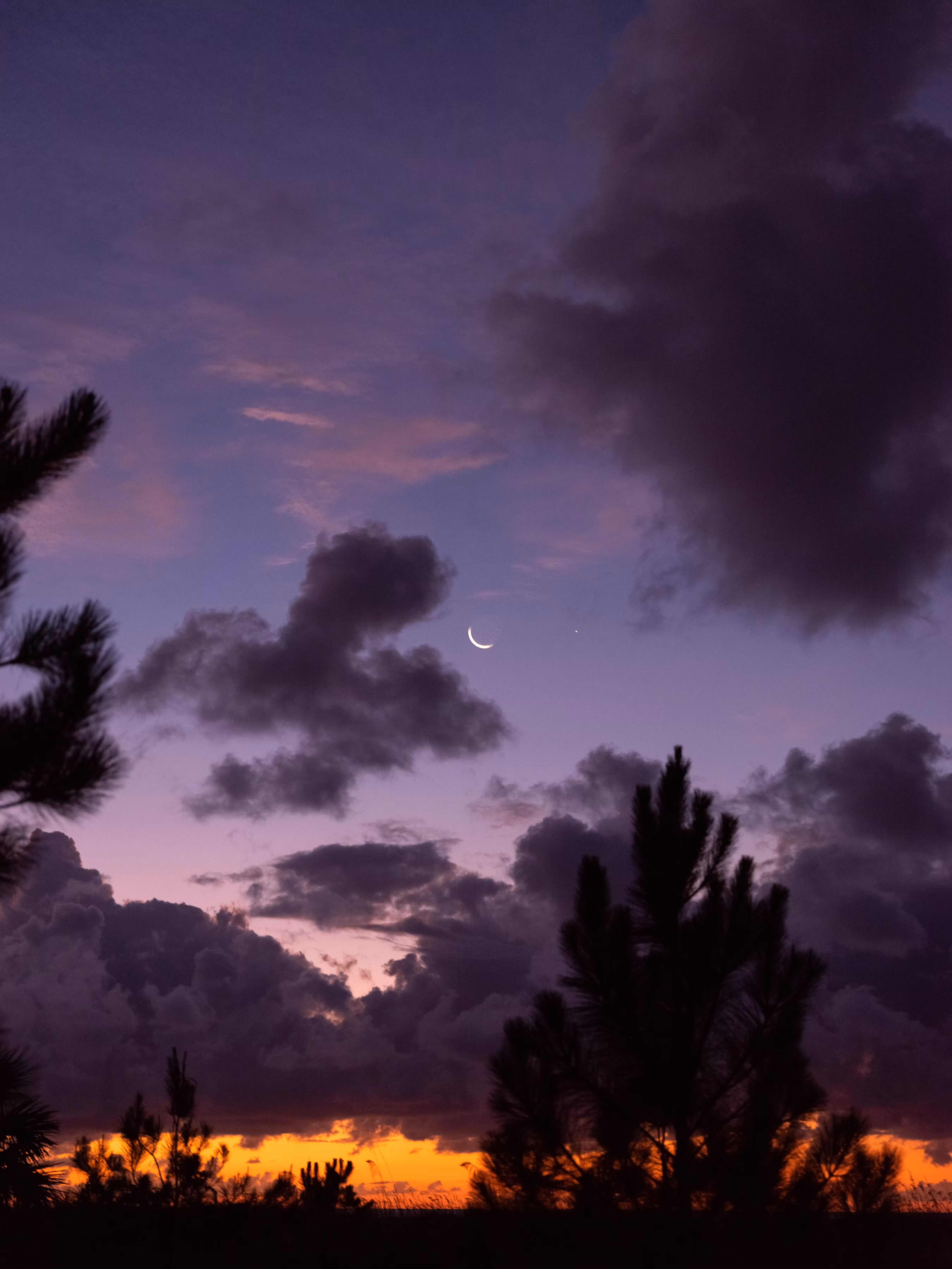 under the same moon.