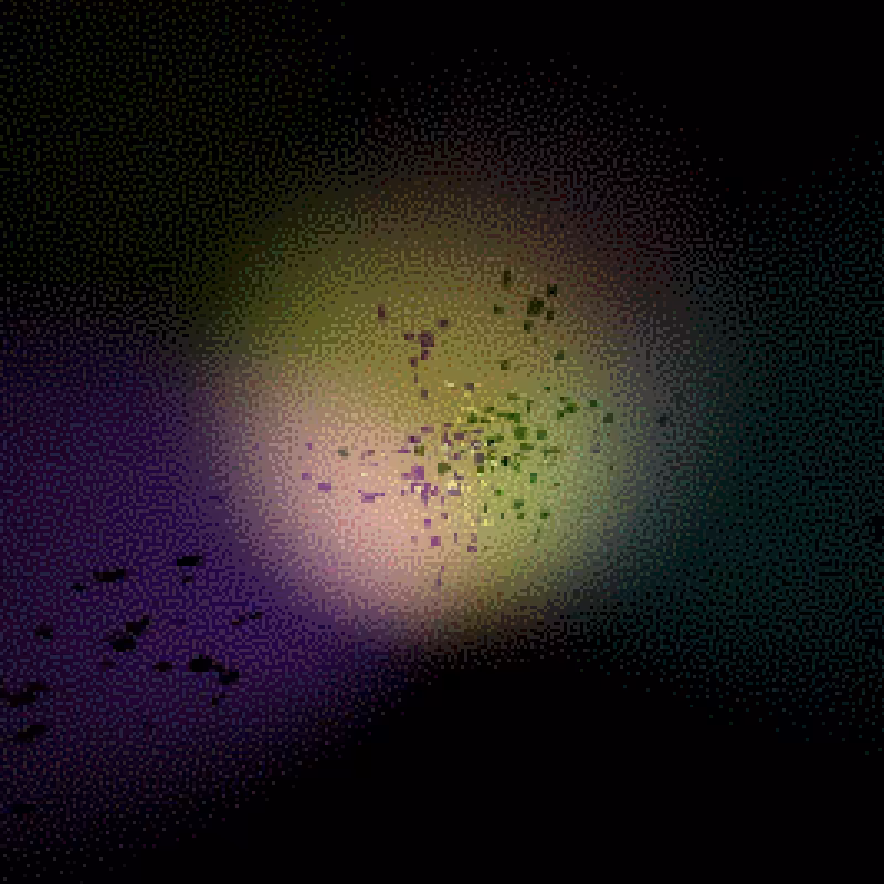 Moths #28