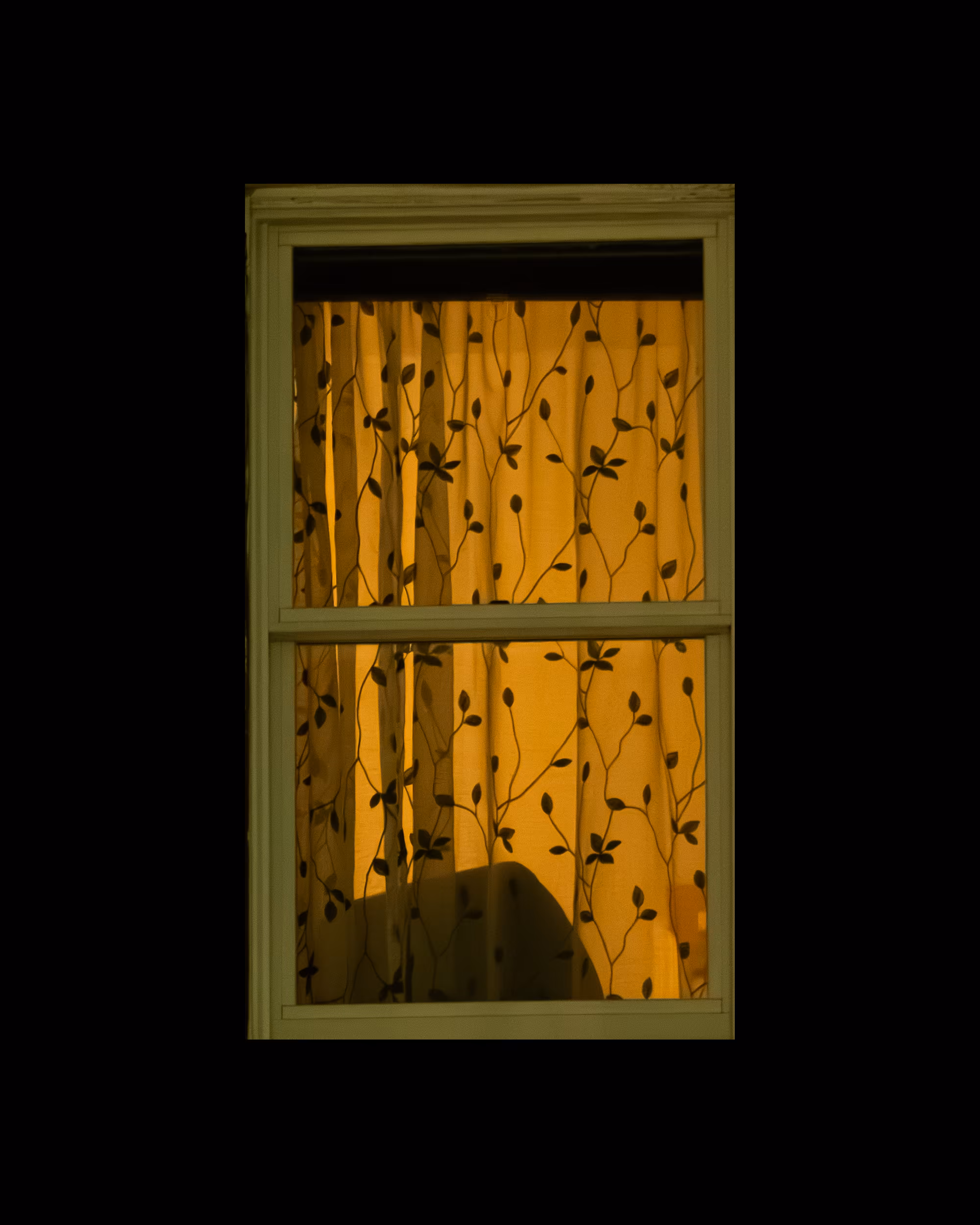WINDOW 60