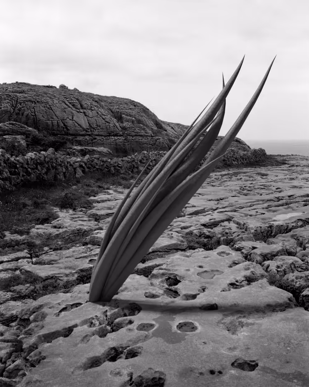 Perceived Landscape #3
