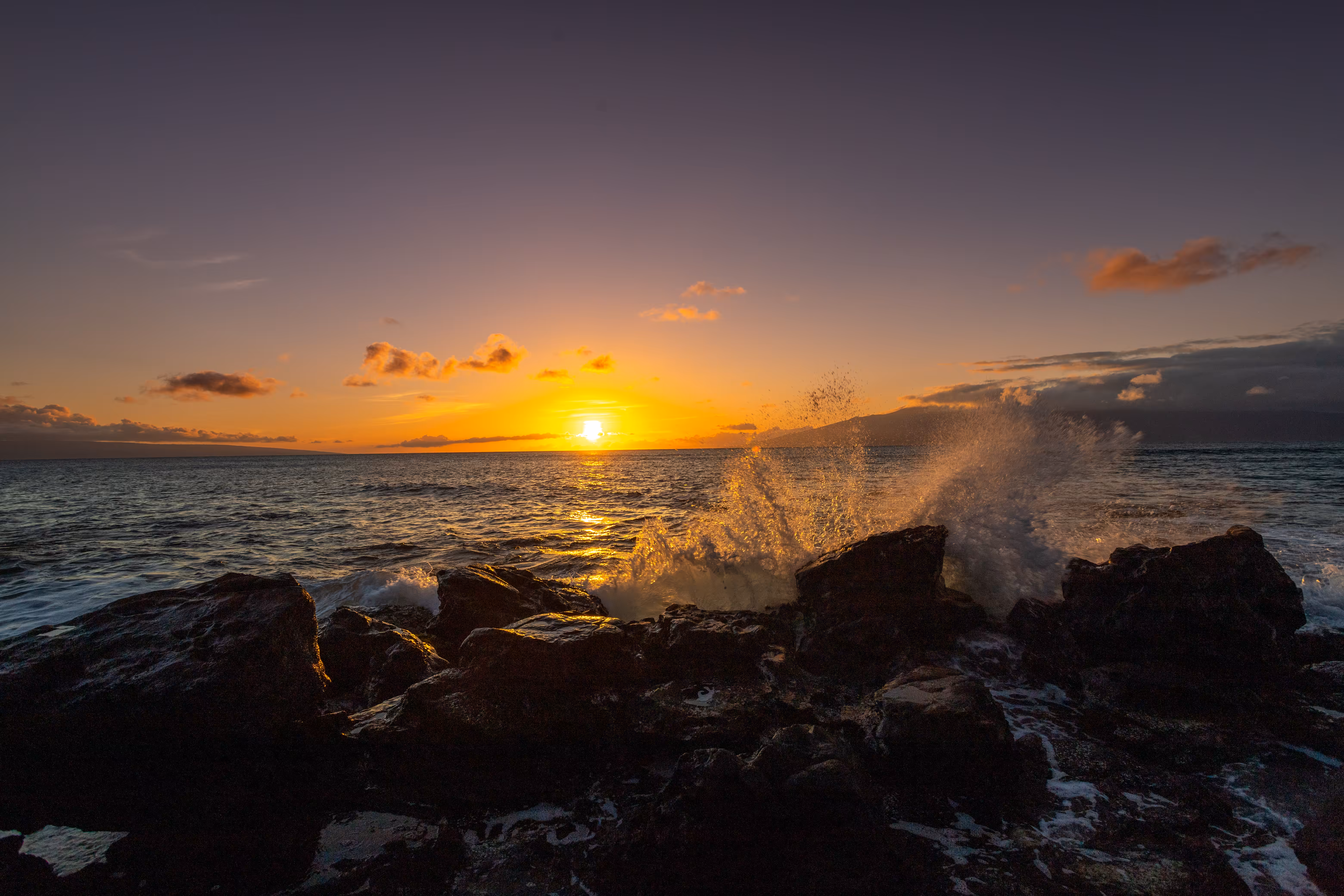 A splash of sun 