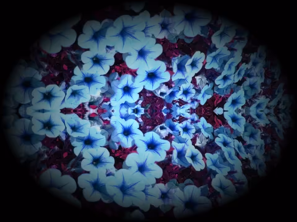 Floral Abstract