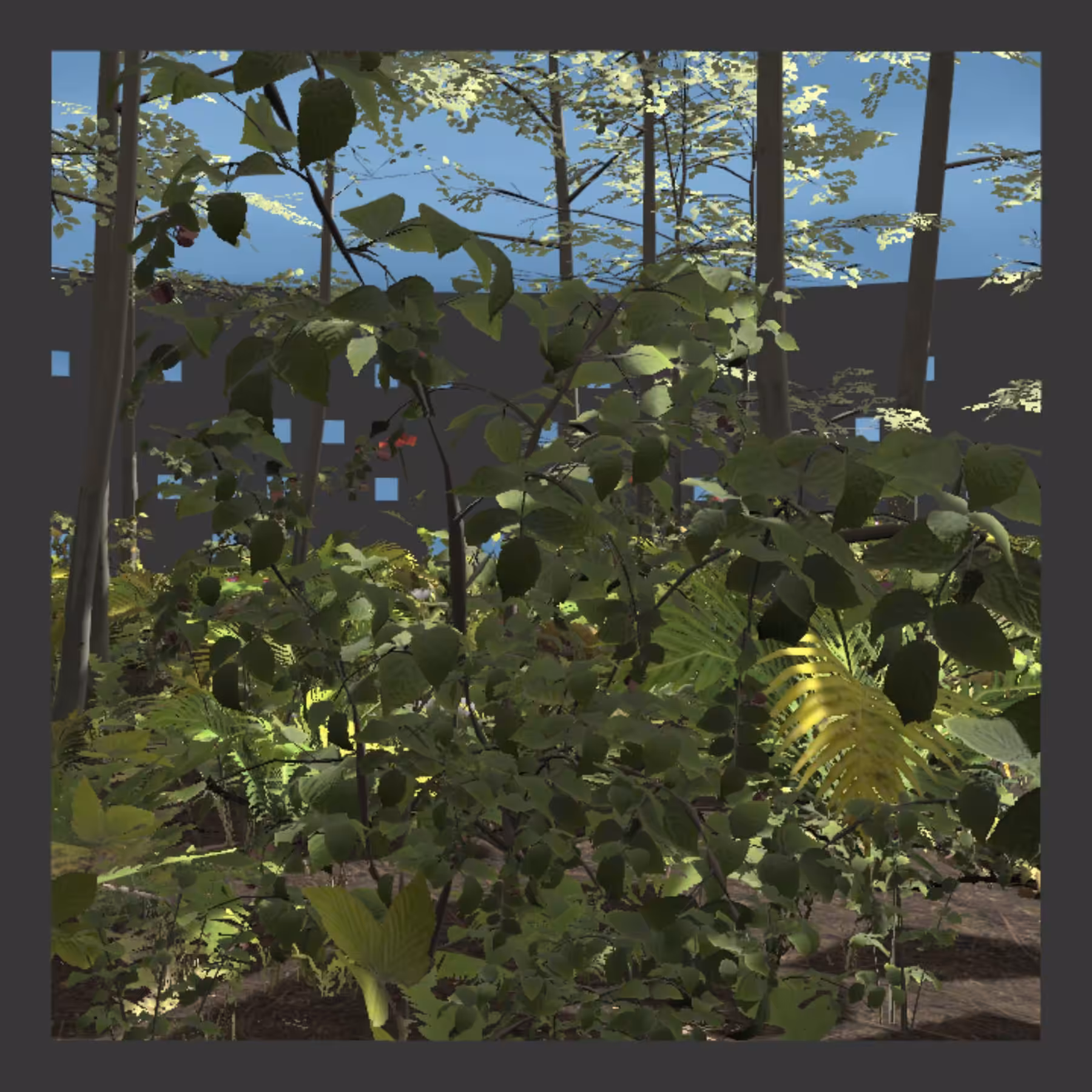 Glimpse