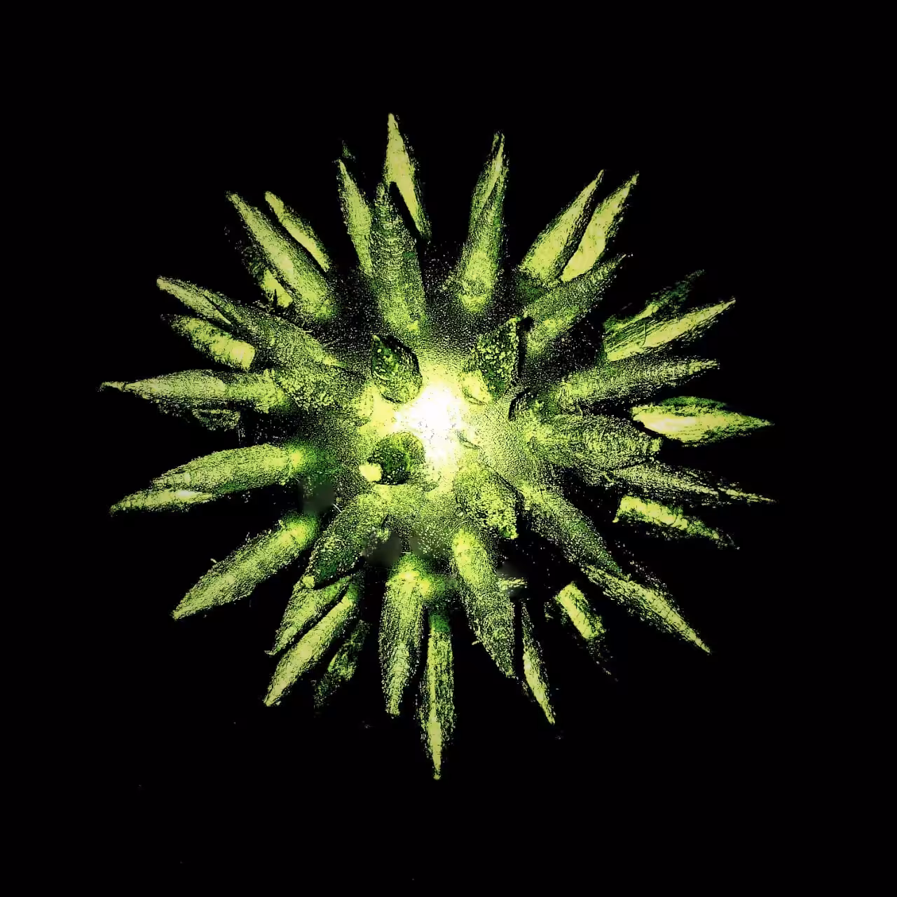 SARS-CID-2021