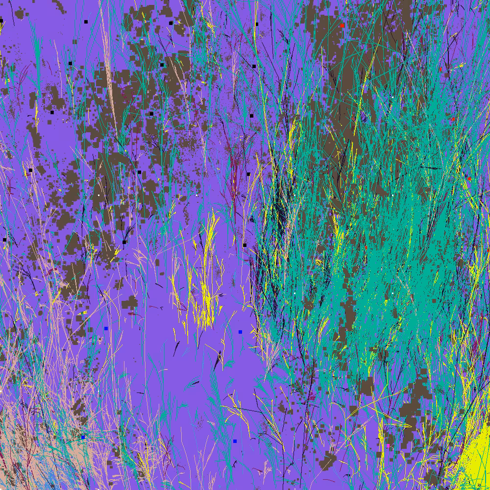 Infinite Garden: 31508 Flowers