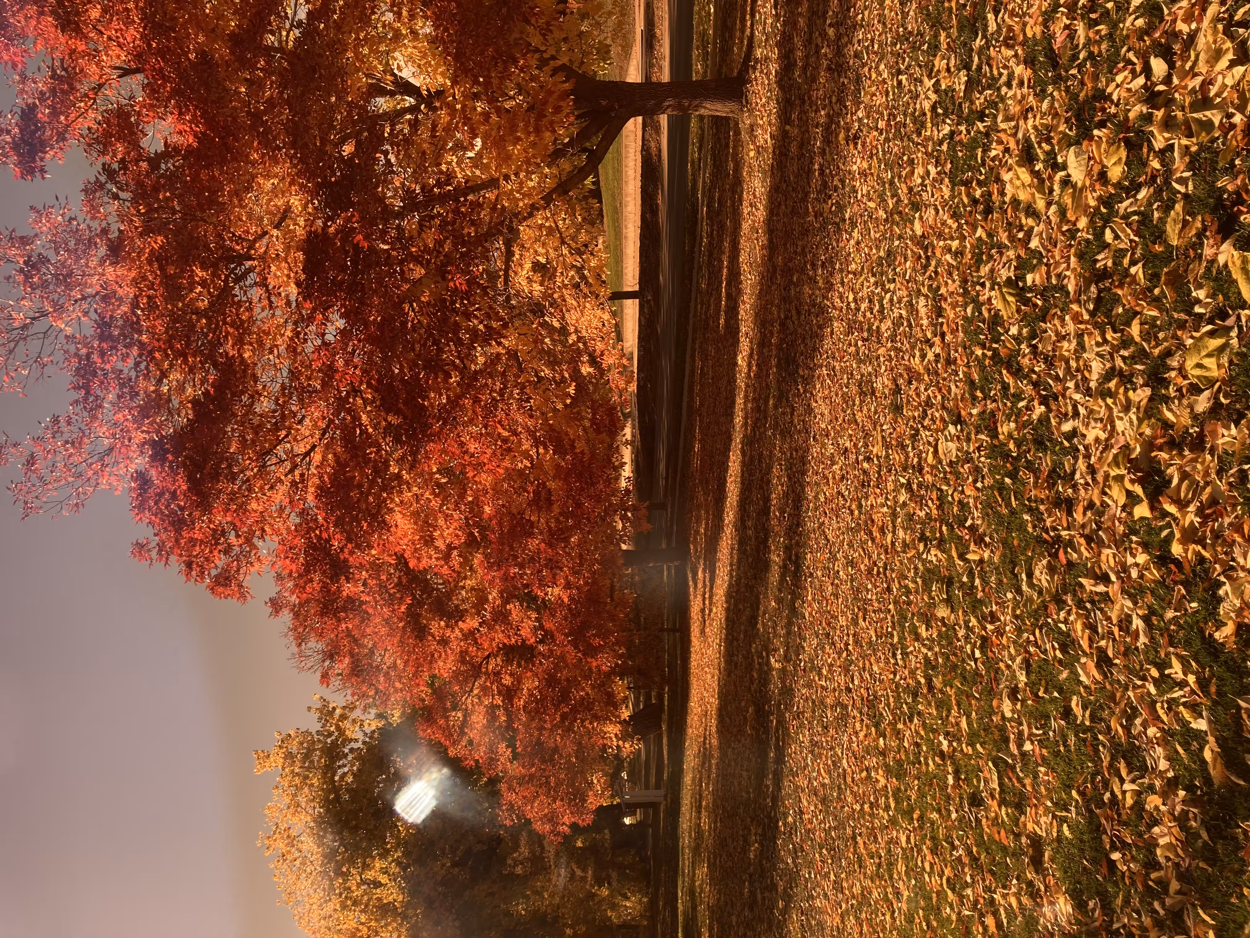 Noetic Fall