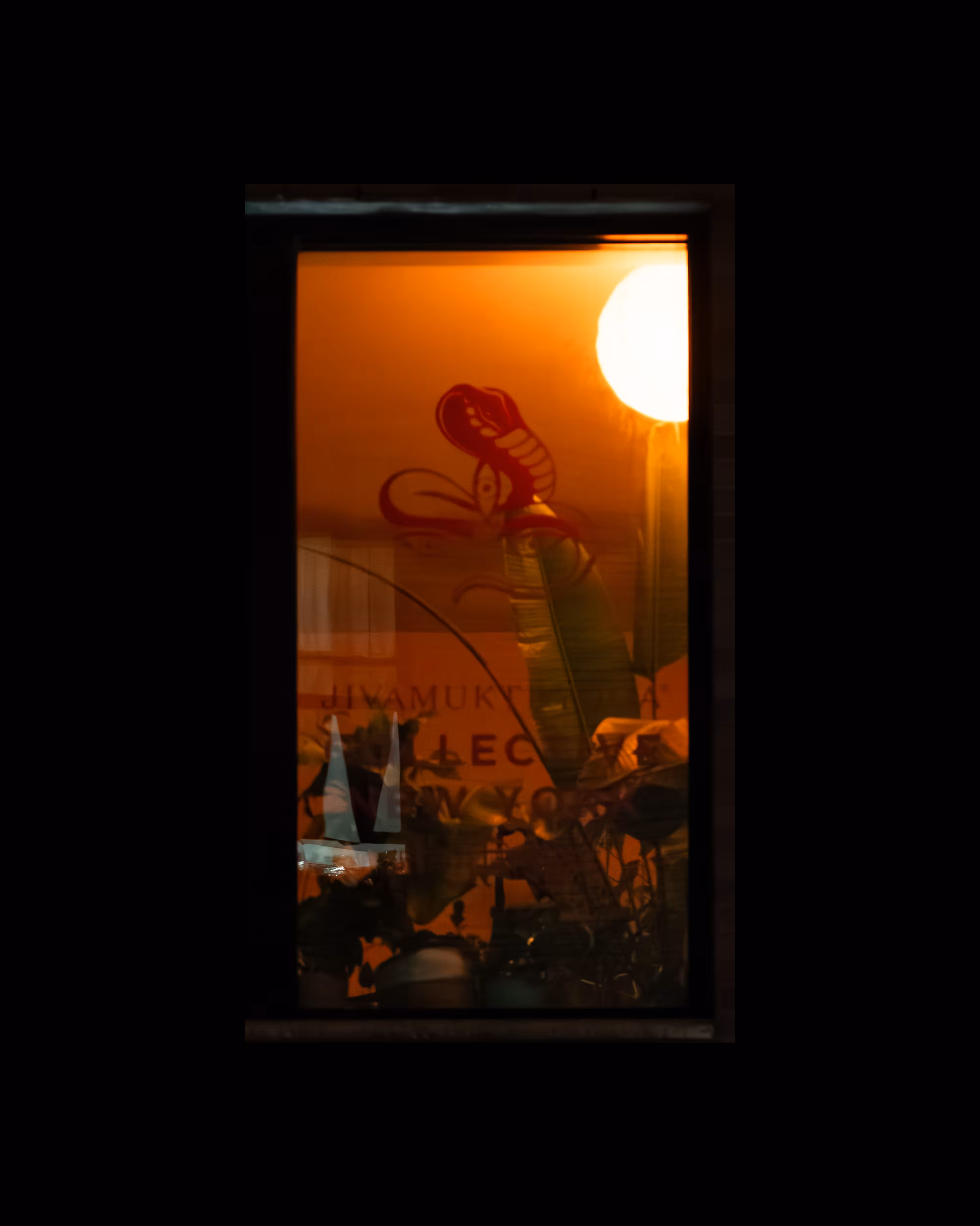 WINDOW 39