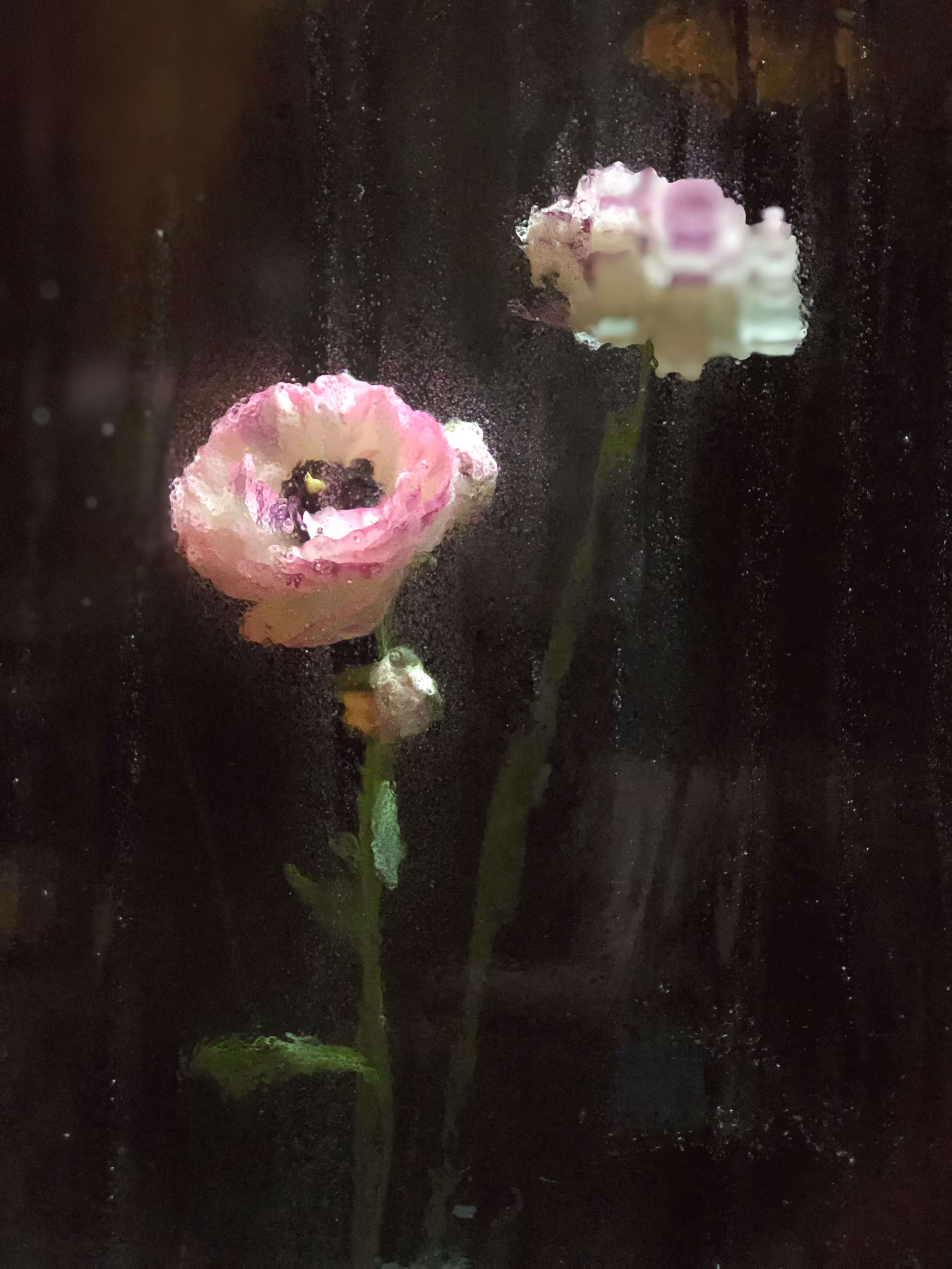 Reflections #4