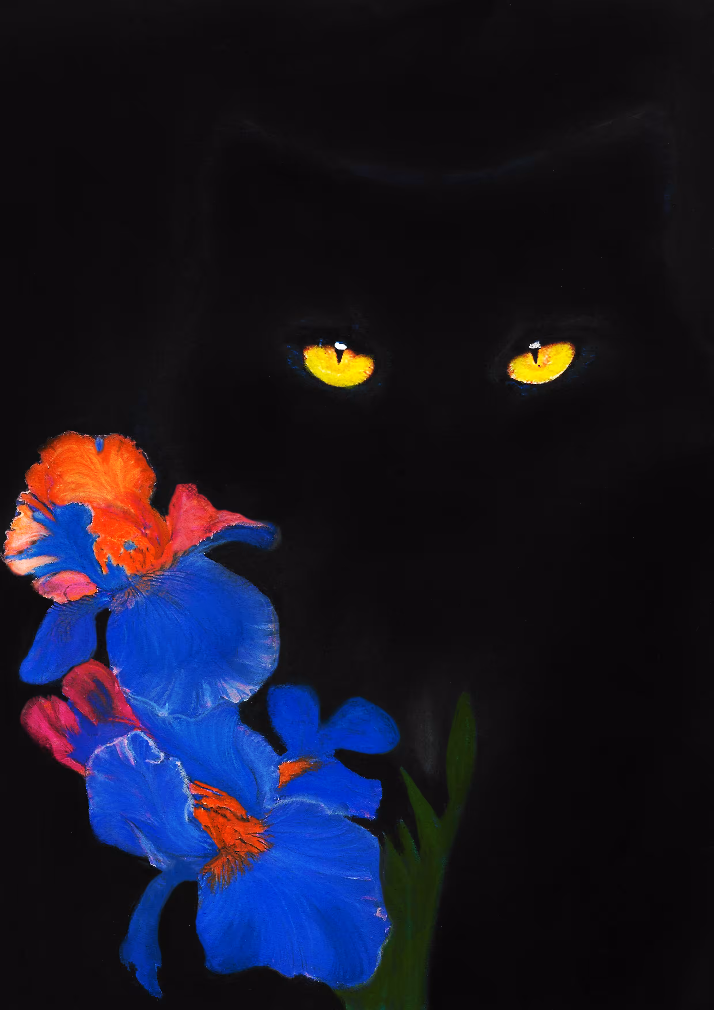cats&another beautiful pets: Beautiful night 