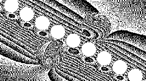 Panoptic