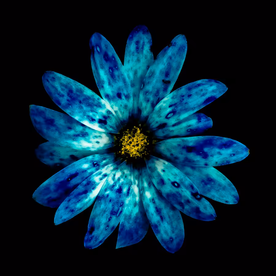 ❀.14