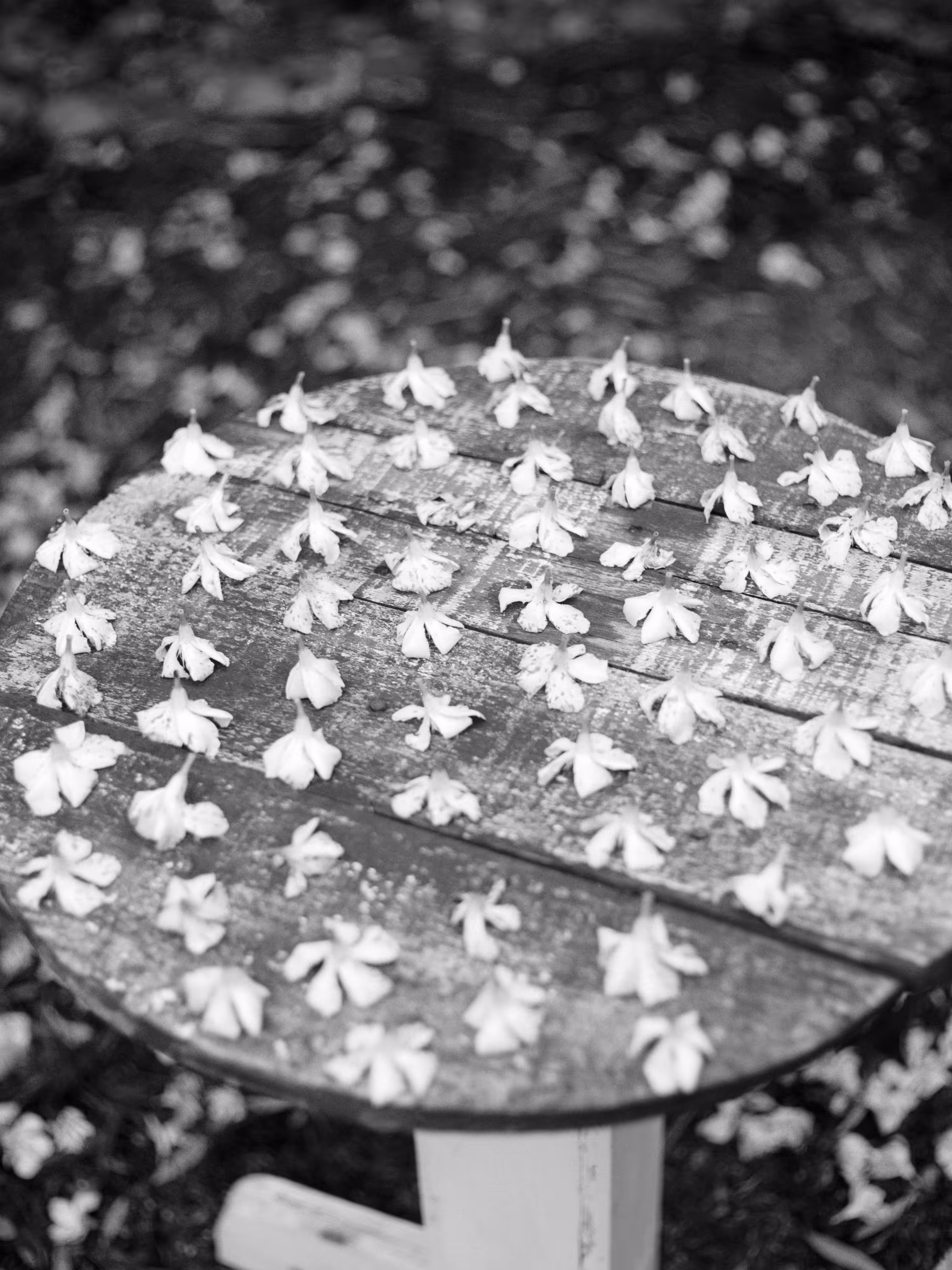 63 Flowers